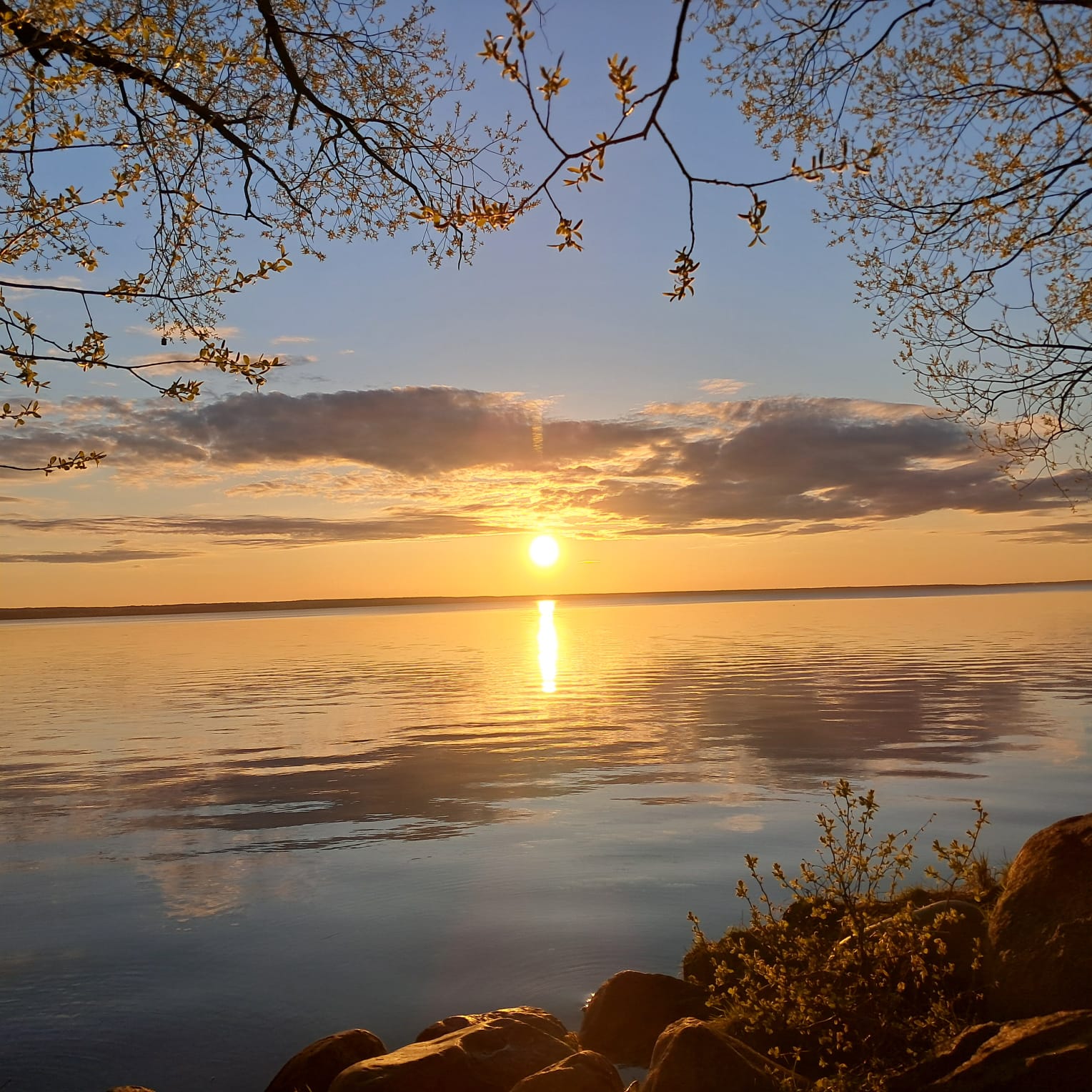 Фото Залесская дача