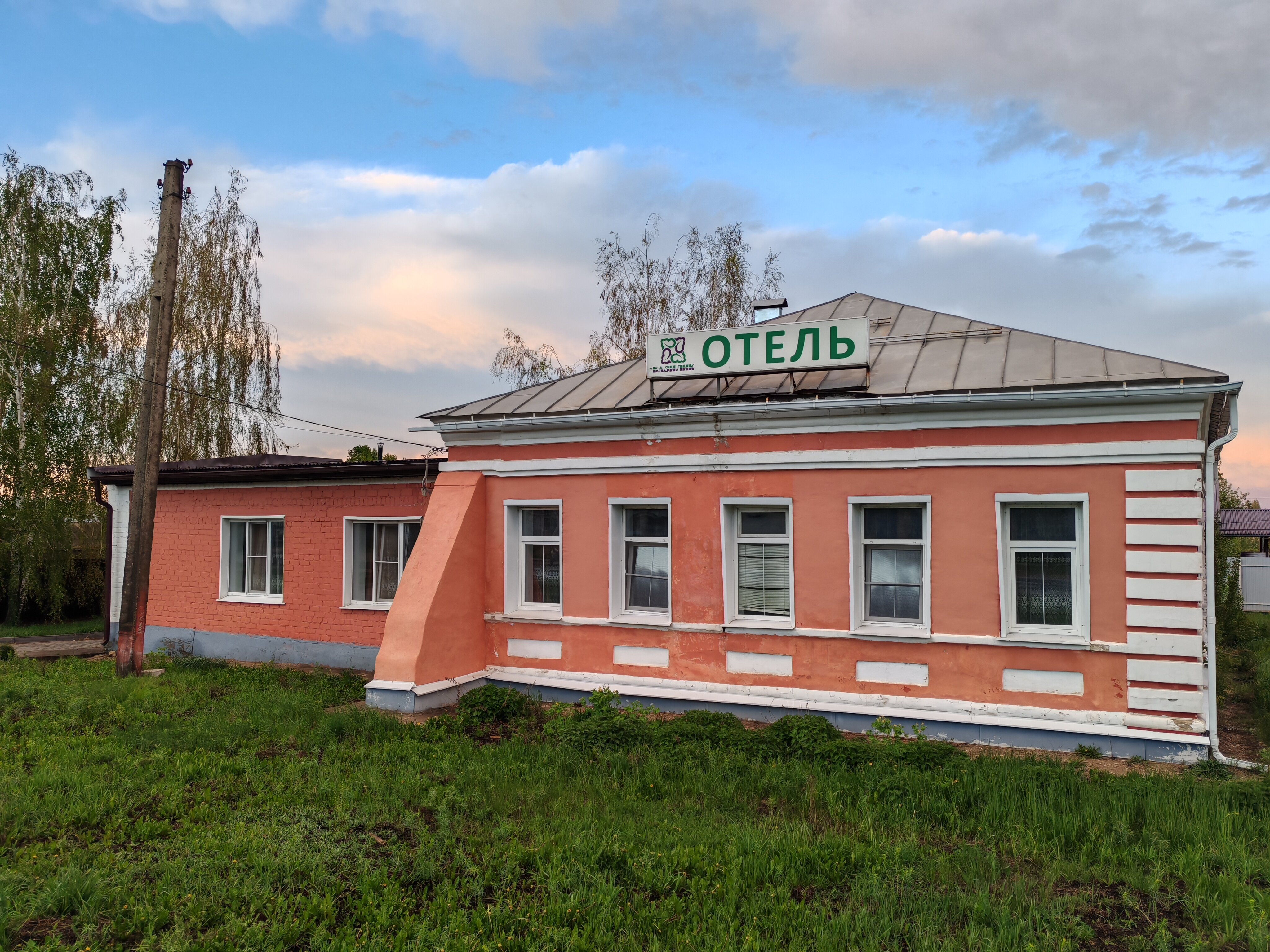 Фото Базилик