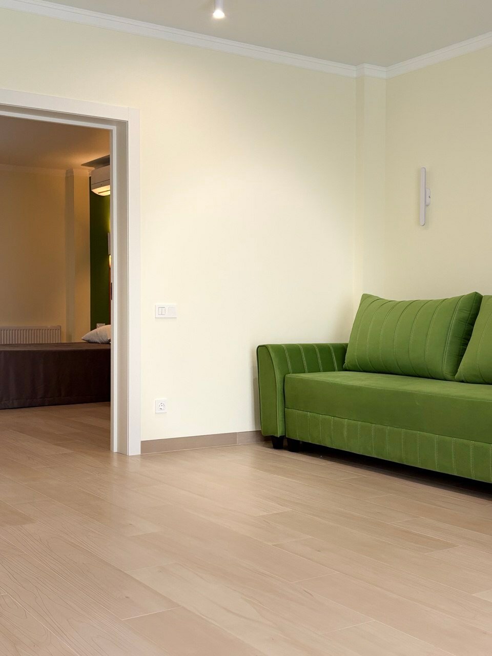 Фото Спутник