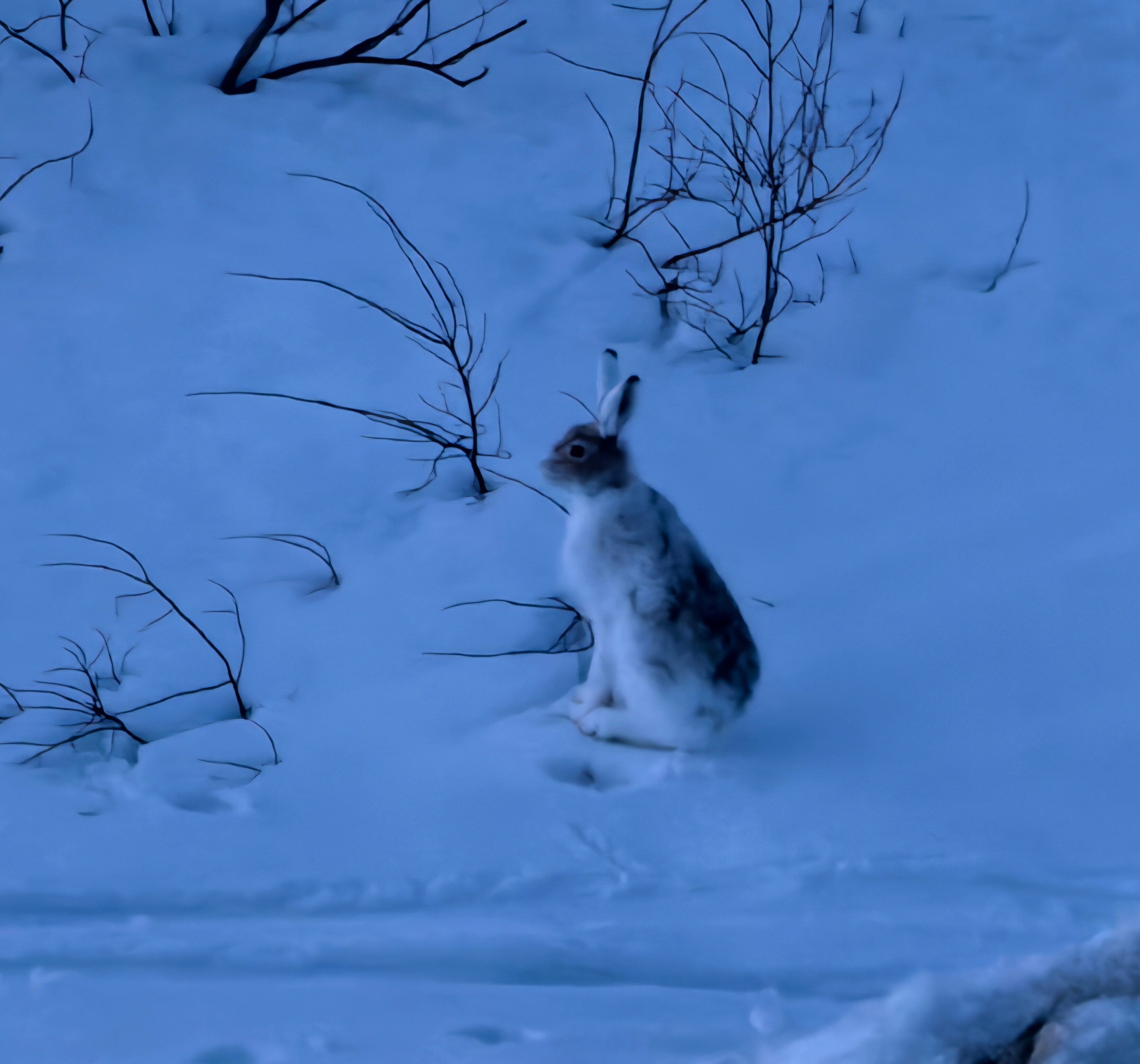 Фото Хибины