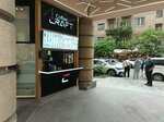 Coffee Craft (Northern Avenue, 8/2) ، مقهى