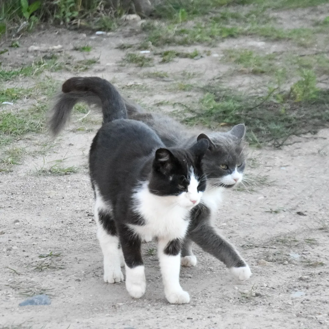 Фото Загородный клуб Устье