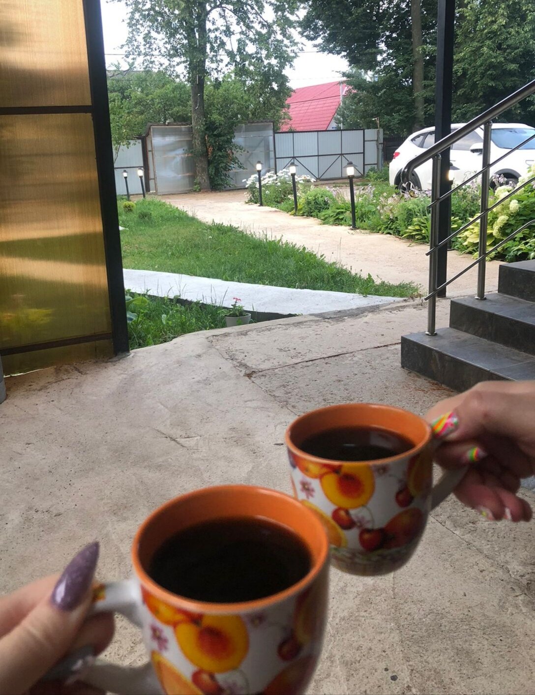 Фото Сова в Шереметьево