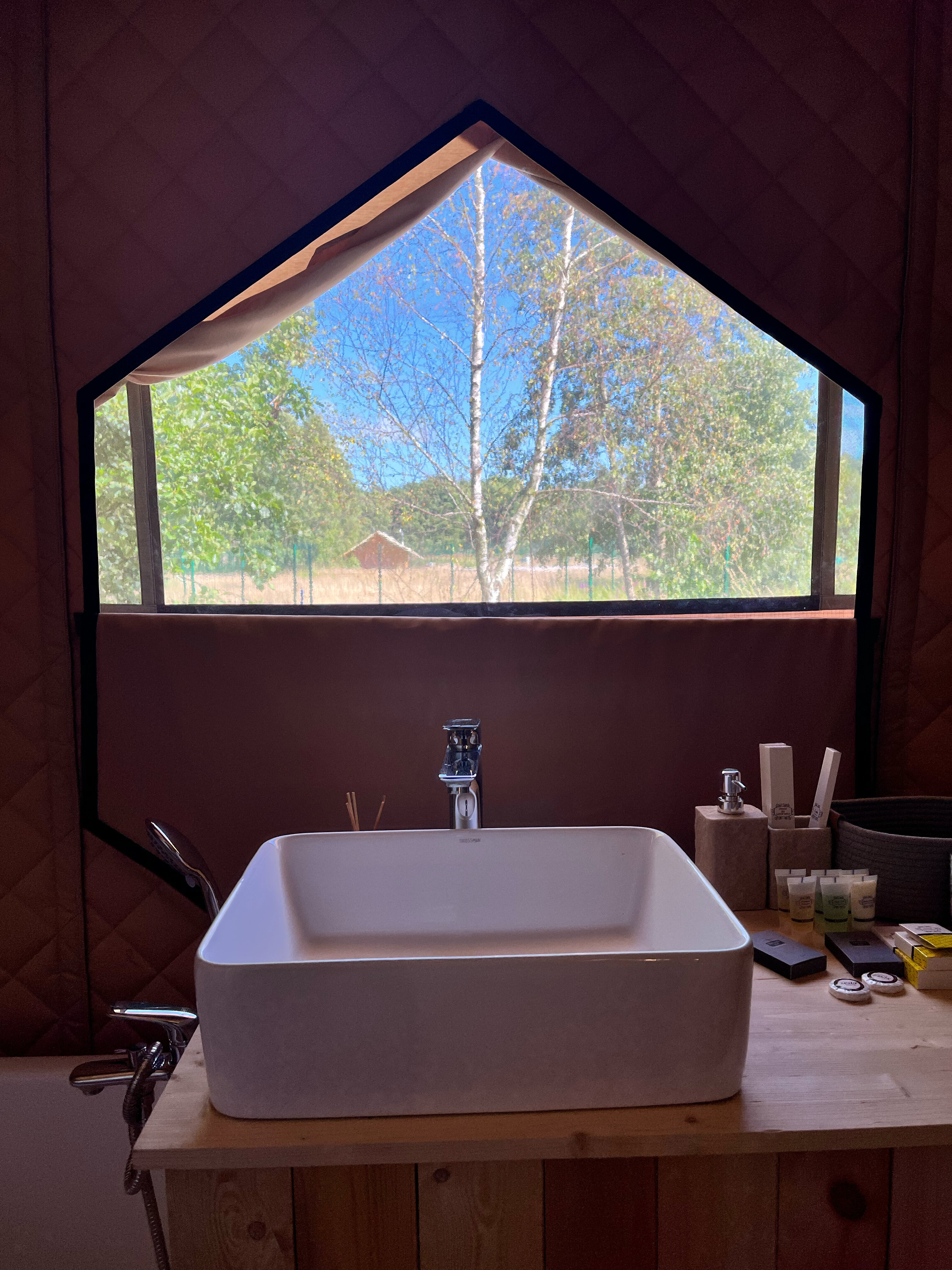 Фото Малина