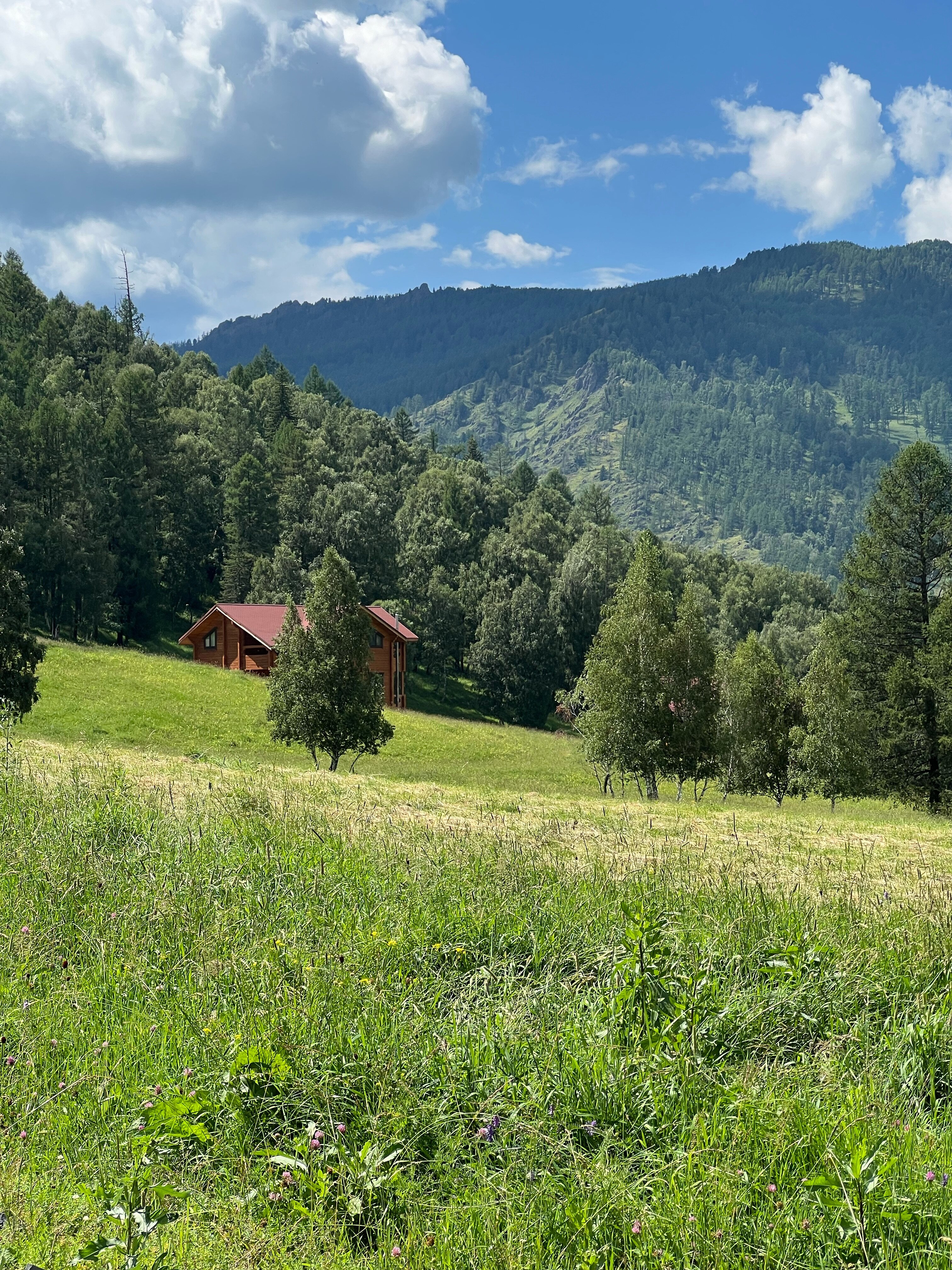 Фото Шебалинский питомник Королевский марал