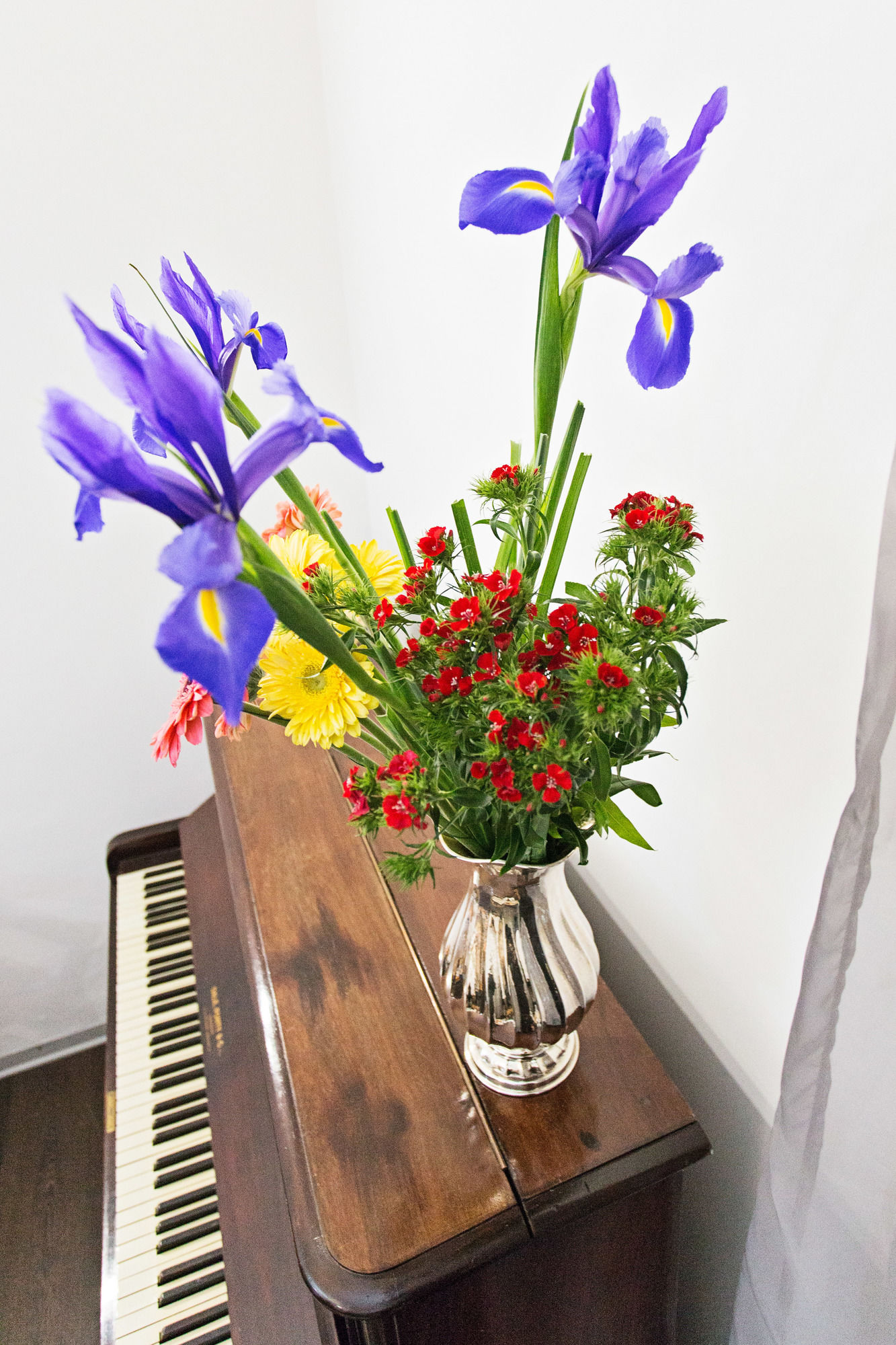 Фото Penelope Holiday