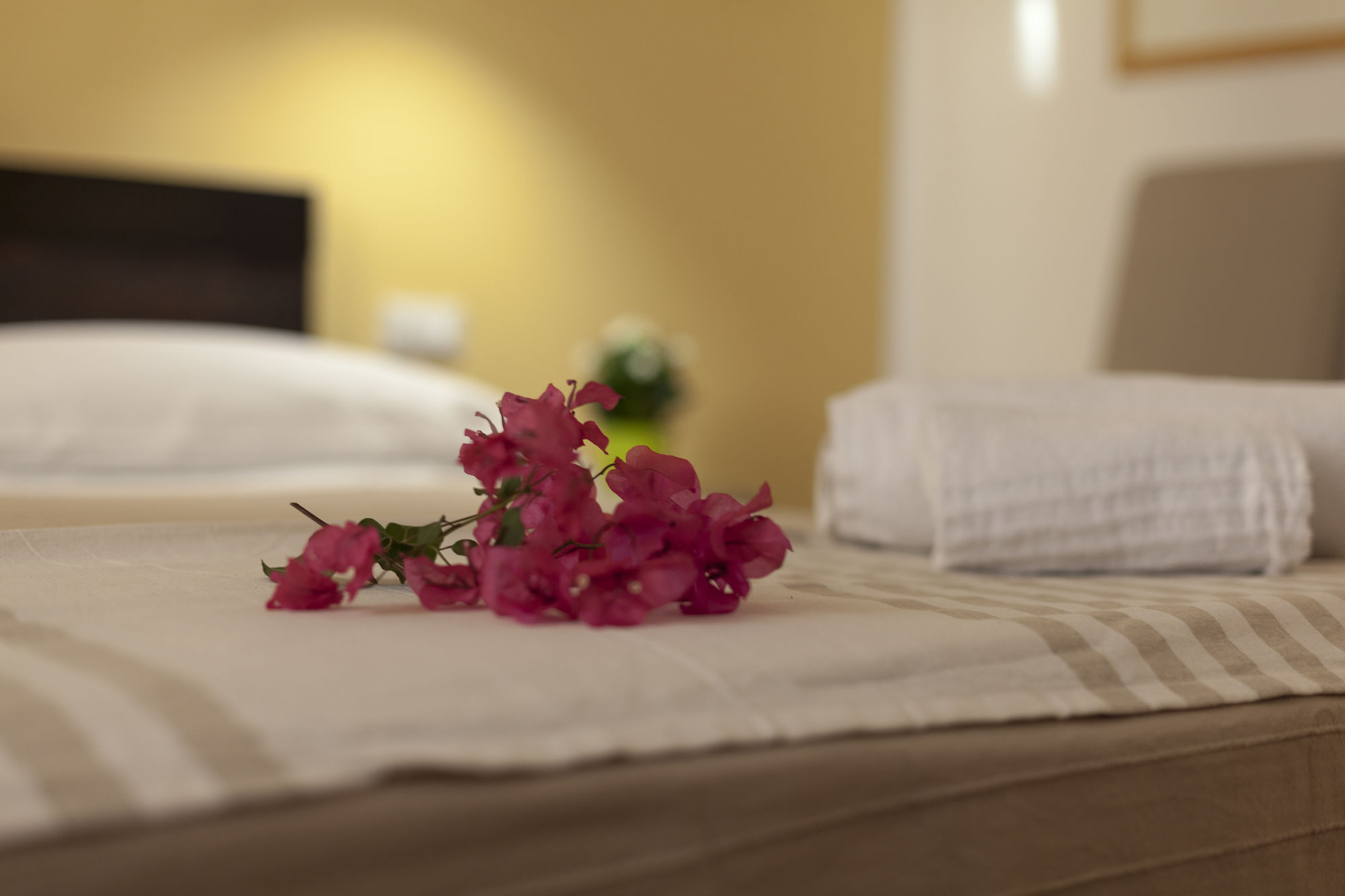 Фото Piazza Marina