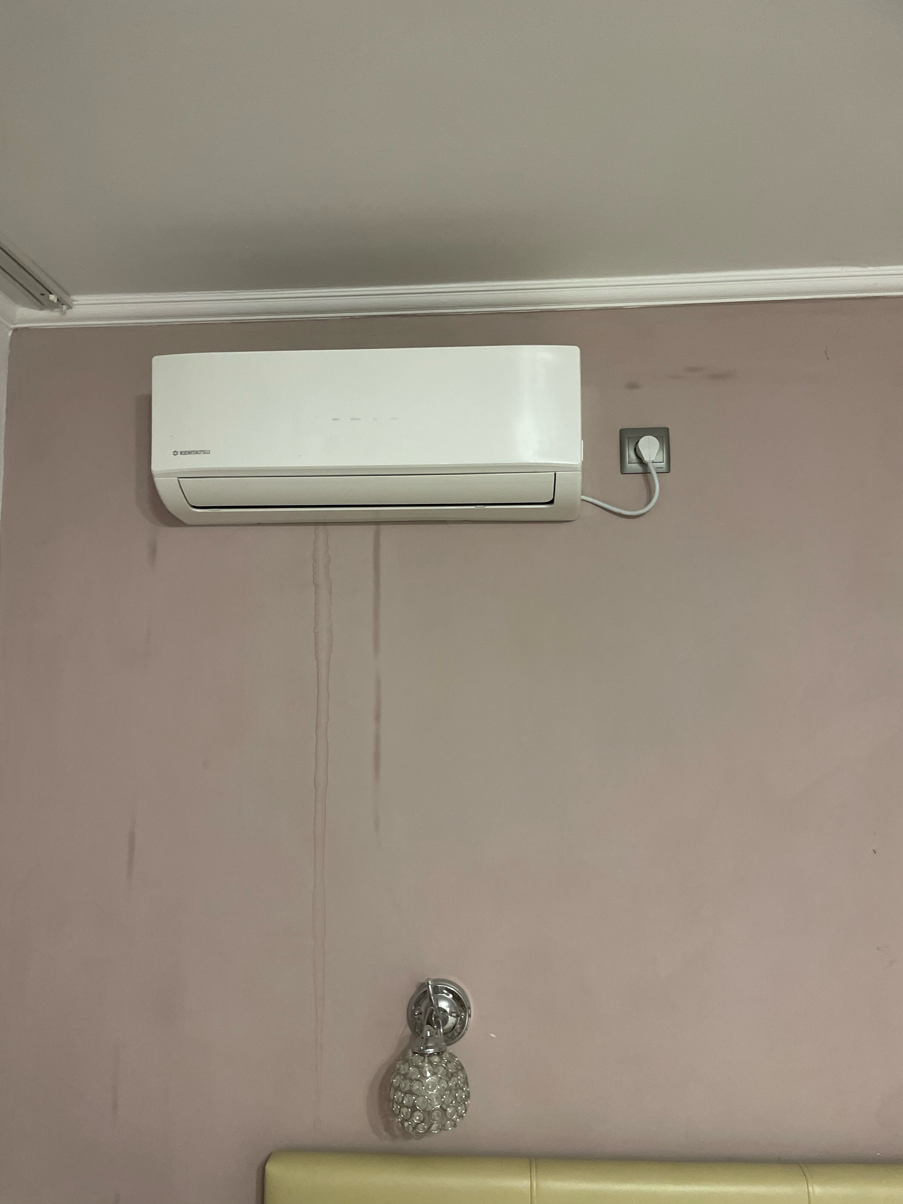 Фото Золотая рыбка