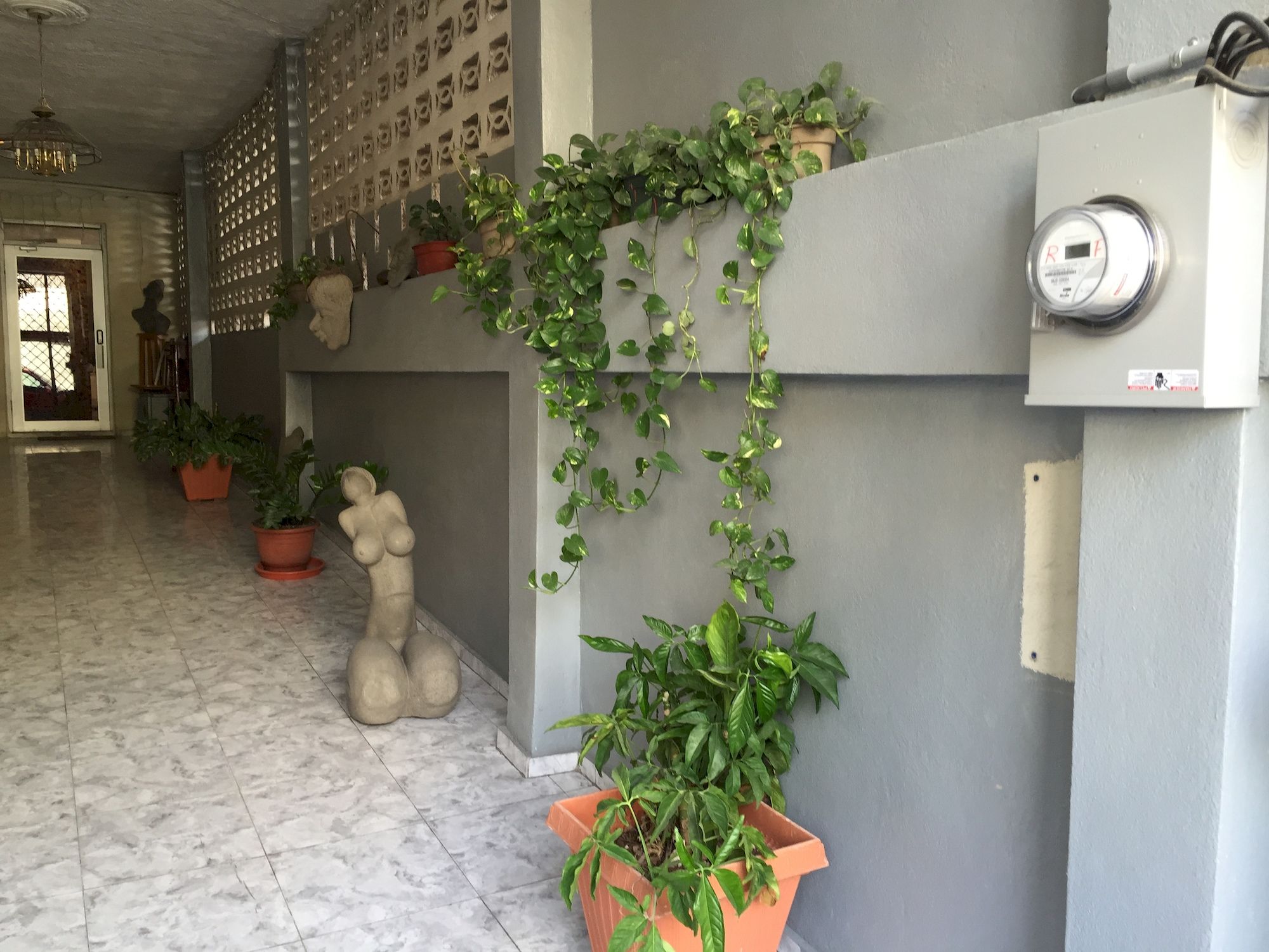 Фото Tropical Bed & Breakfast