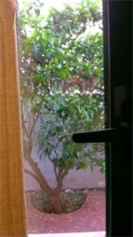 Фото Hotel La Villetta