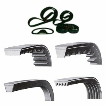 Industrial enterprise Mb Conveyor Belt, Izmir, photo