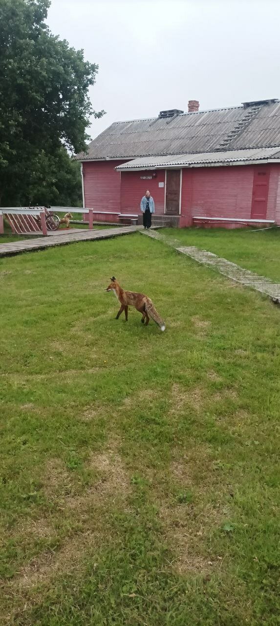 Фото Хутор Варяжский