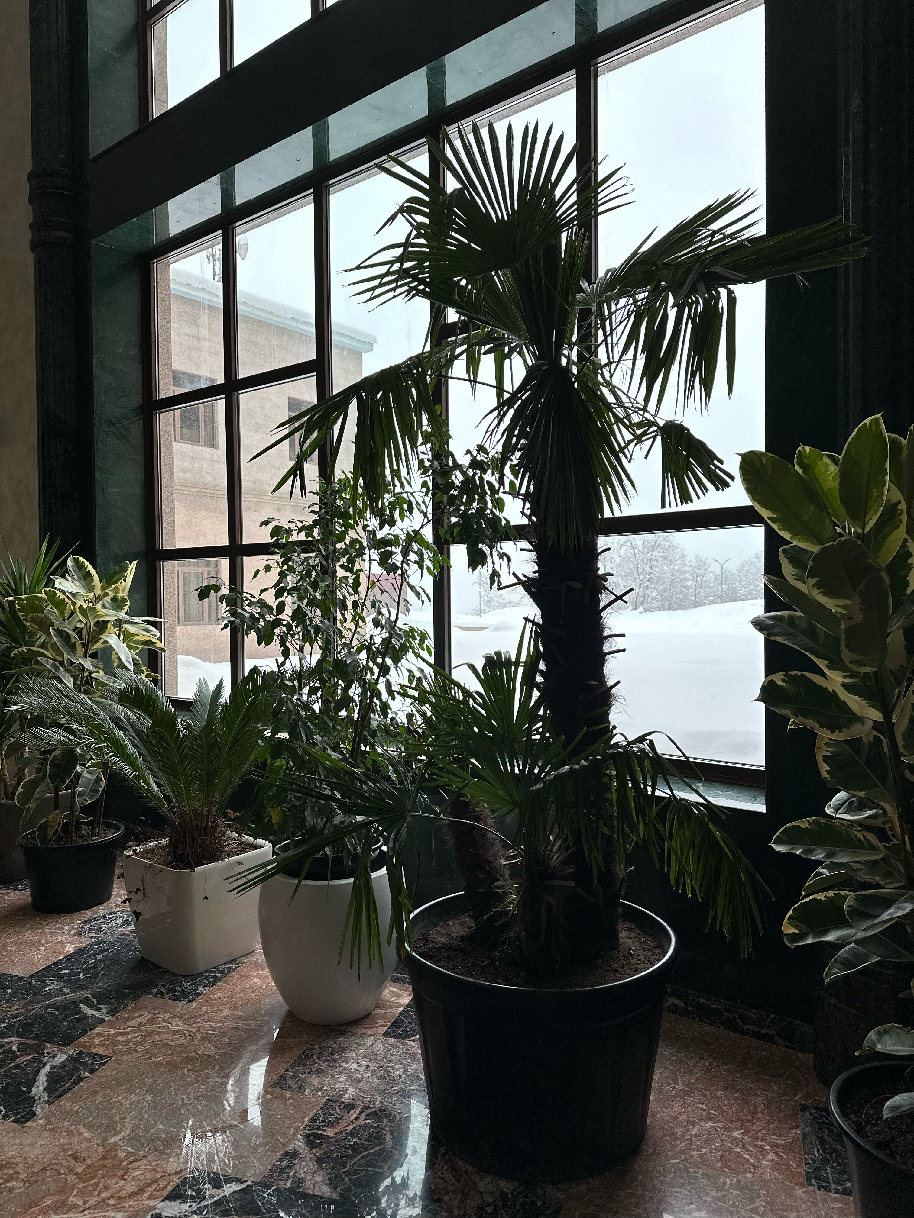 Фото Eighty Eight Hotel and SPA