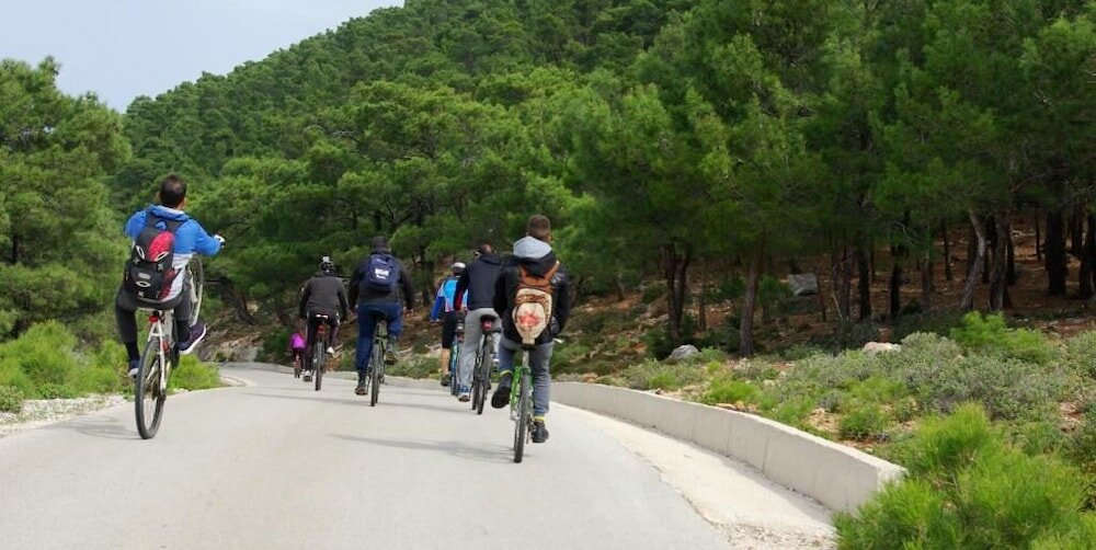 Фото Thomas Hotel