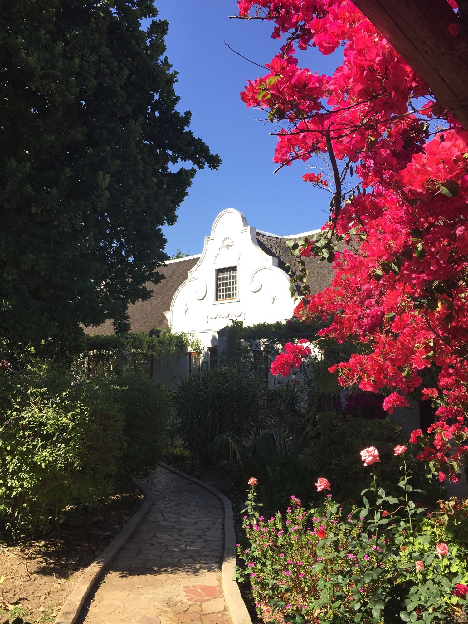 Фото Wittedrift Manor House