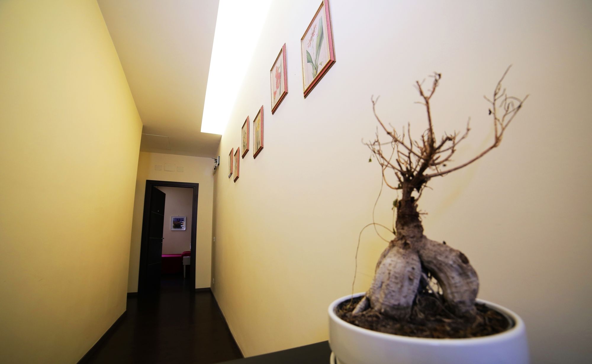 Фото Rome Vatican Suite