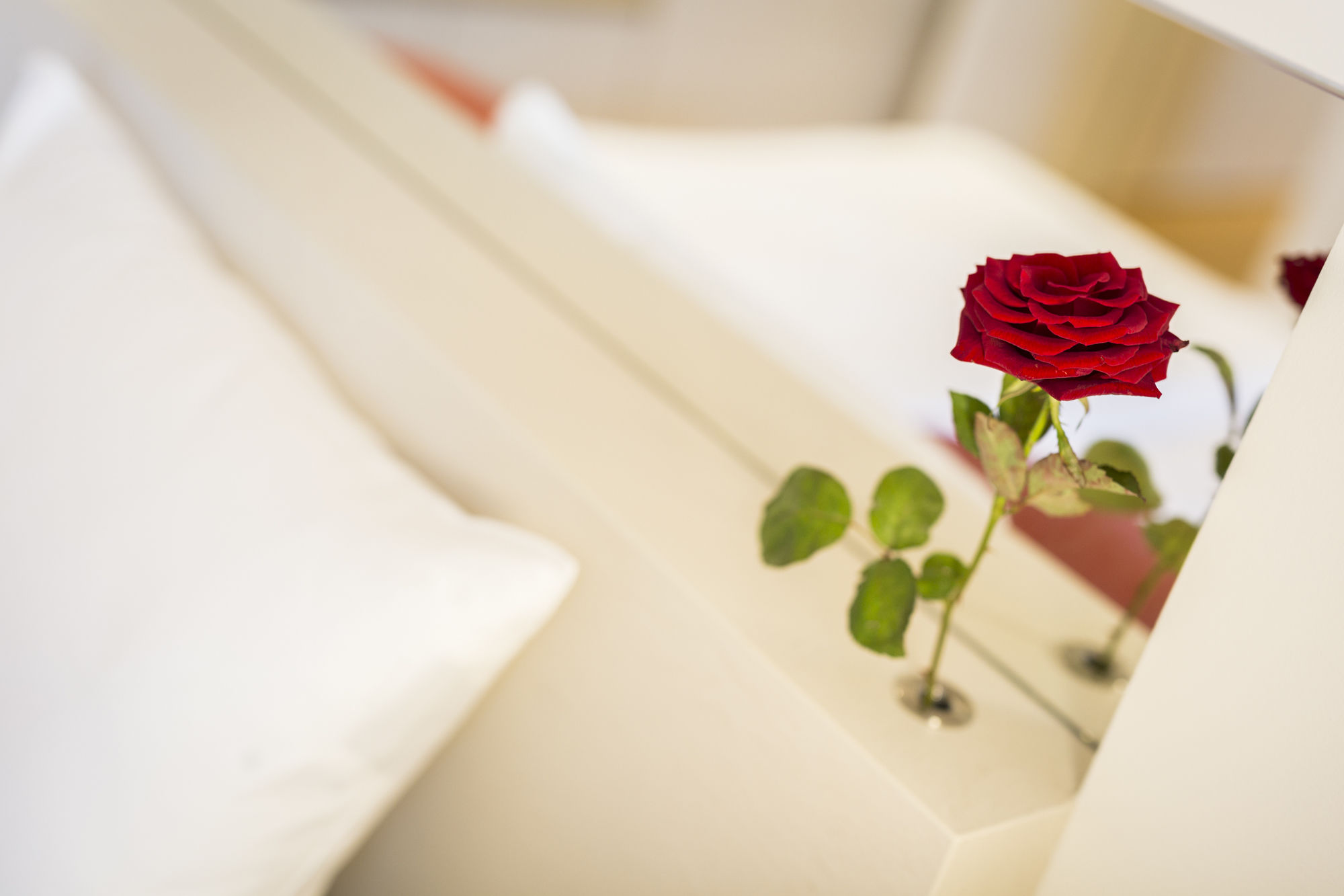 Фото Vienna Grand Apartments Danube