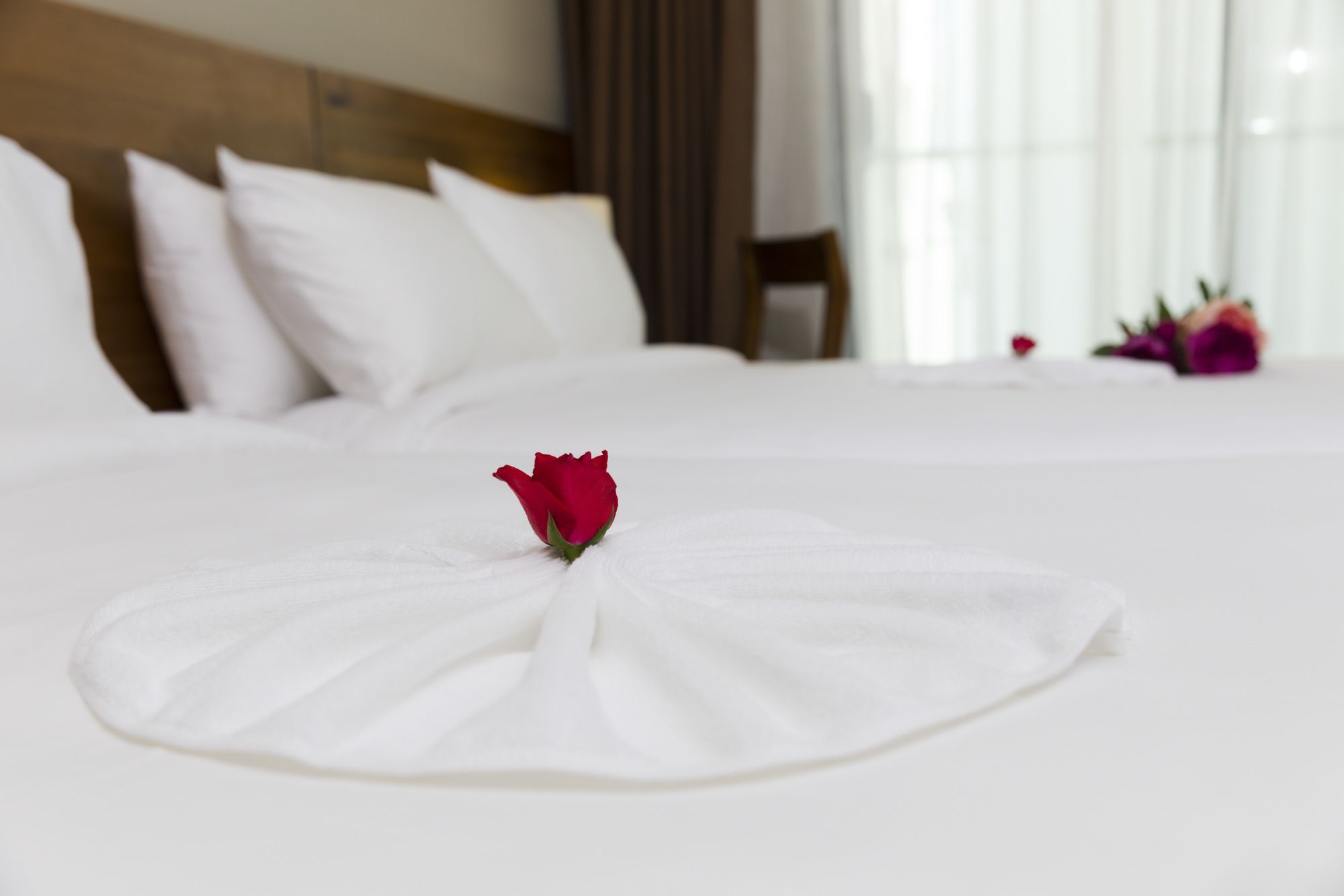 Фото Maple Hotel & Apartment