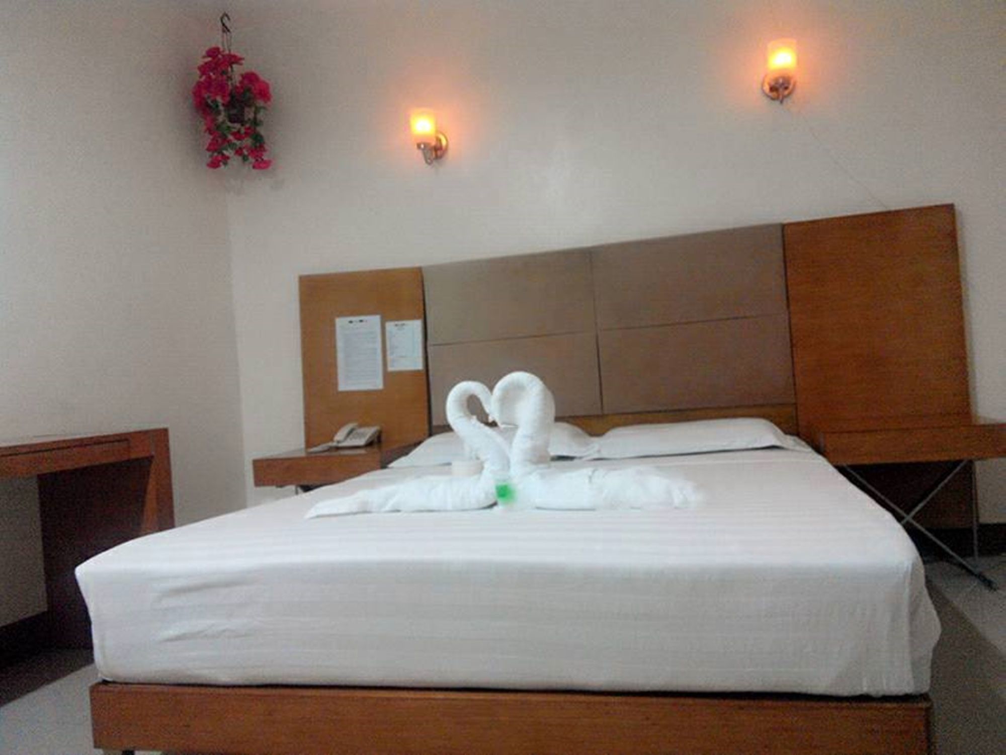 Фото Asia Novo Boutique Hotel - Dumaguete