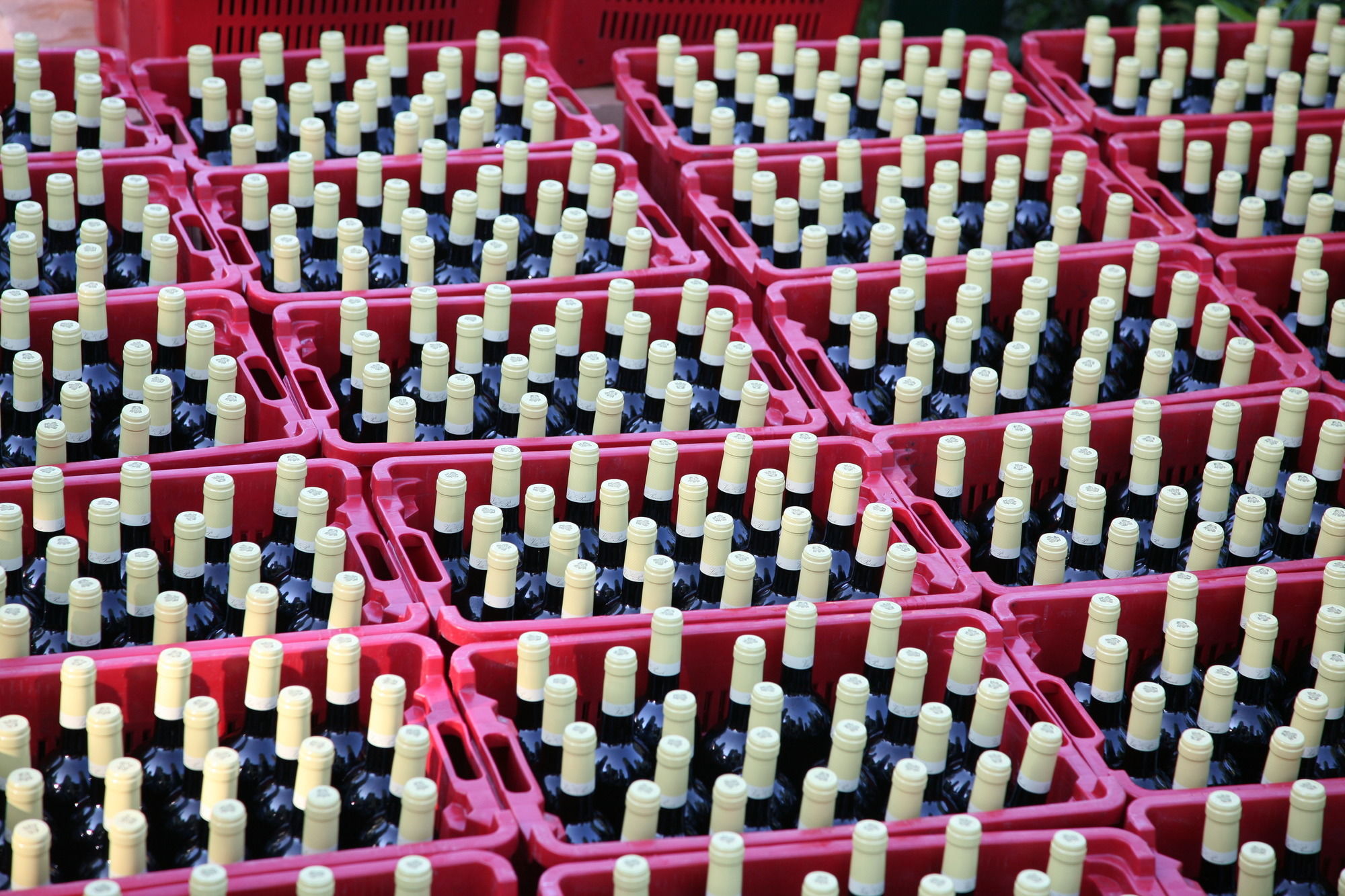 Фото Villa le Piazzole