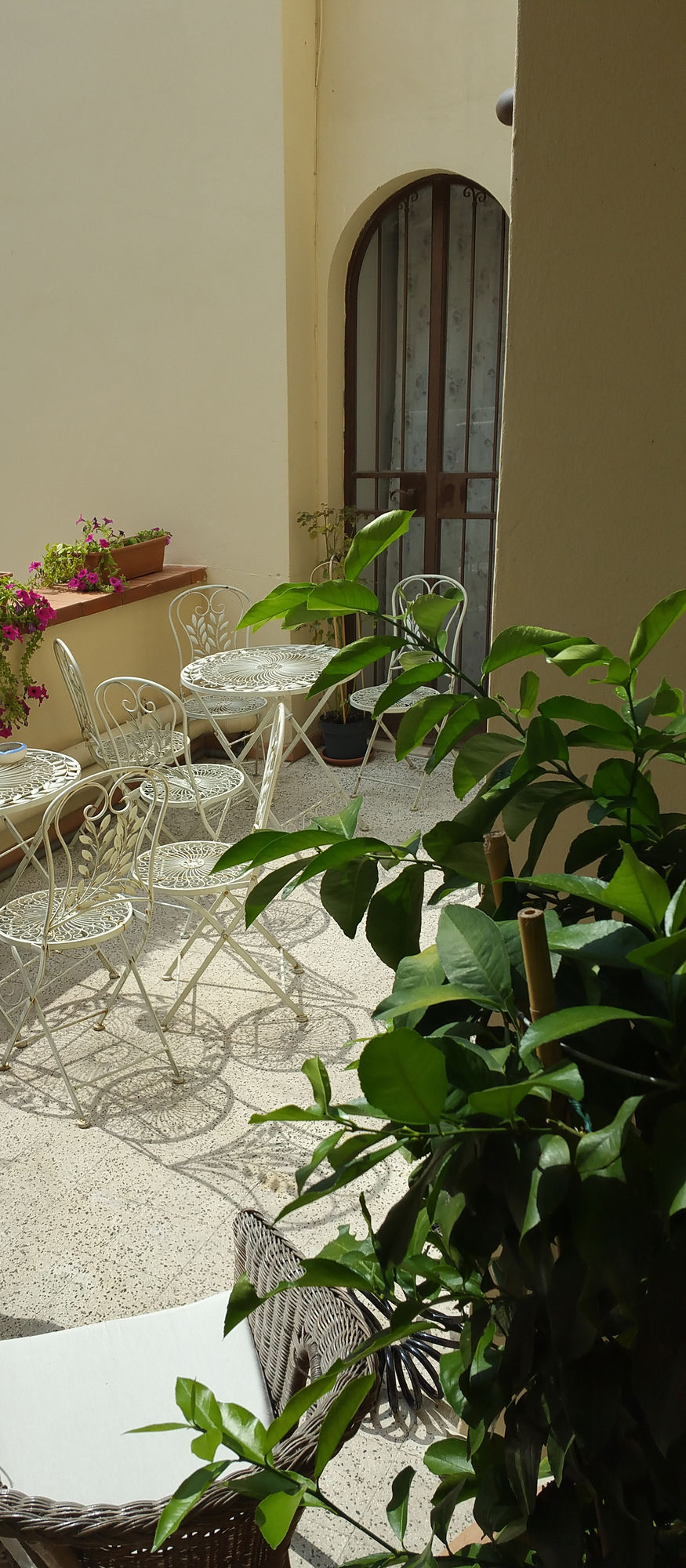 Фото B&b San Remigio Firenze