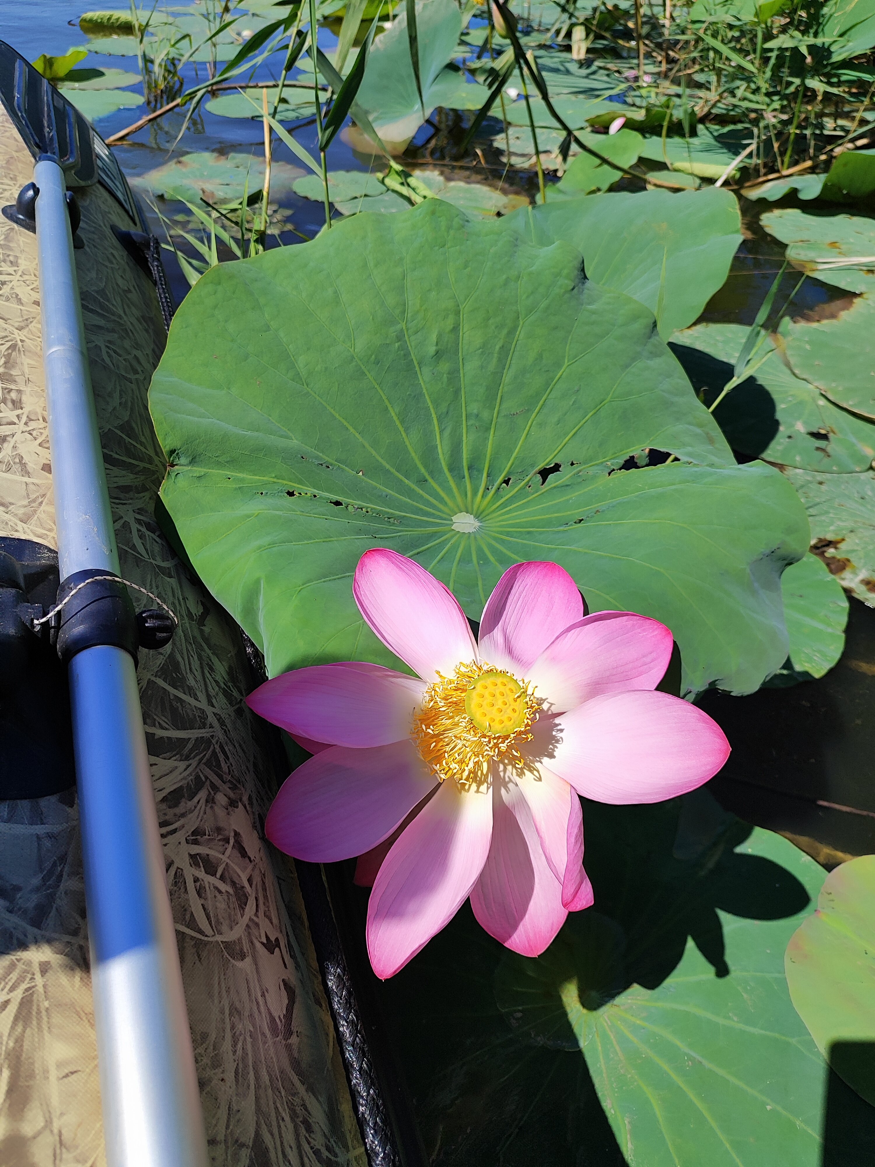 Фото У Олега