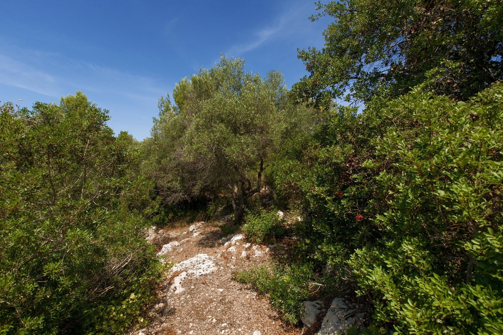Фото Villa Merienne