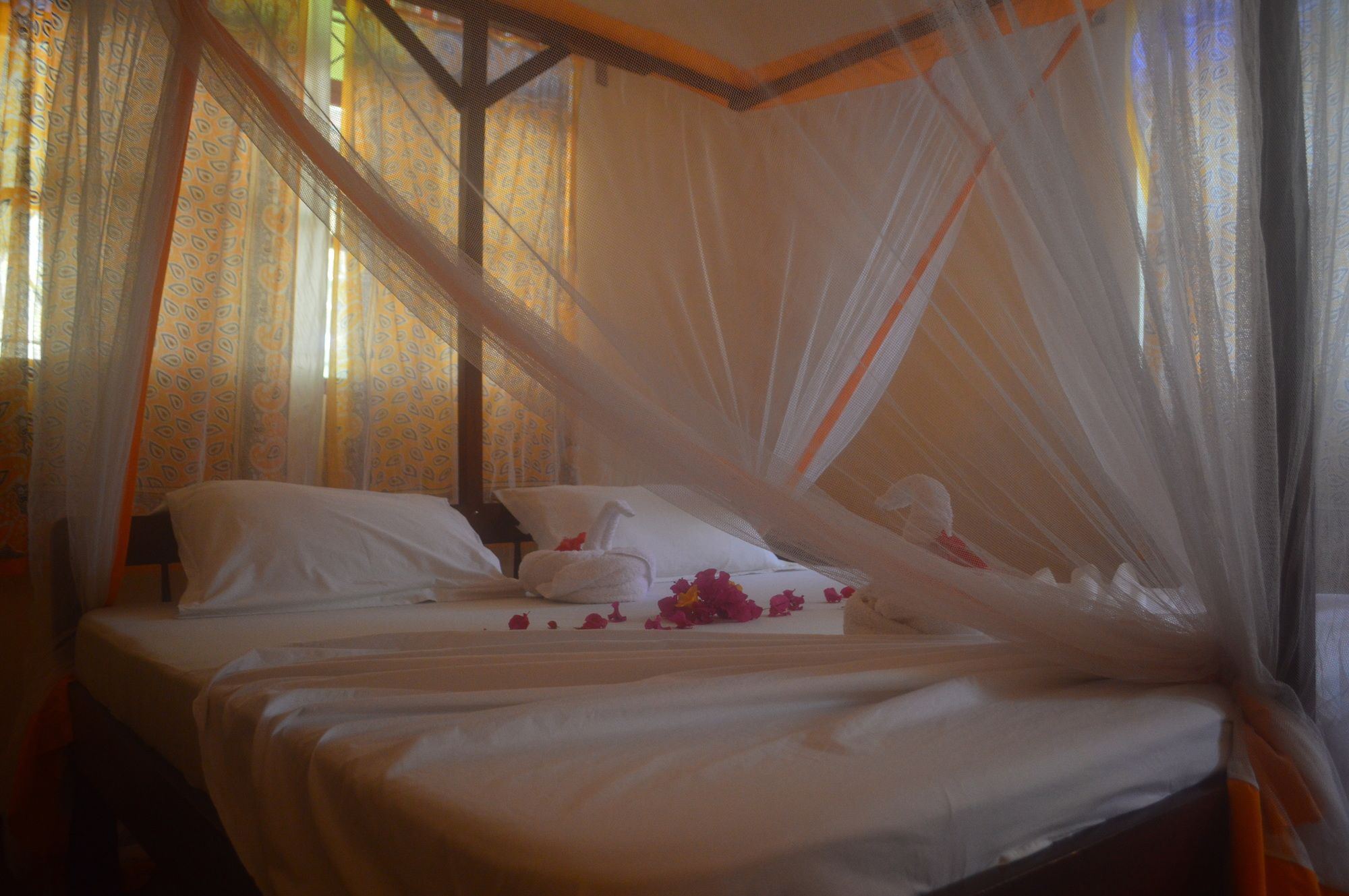 Фото Zanzibar Dream Lodge