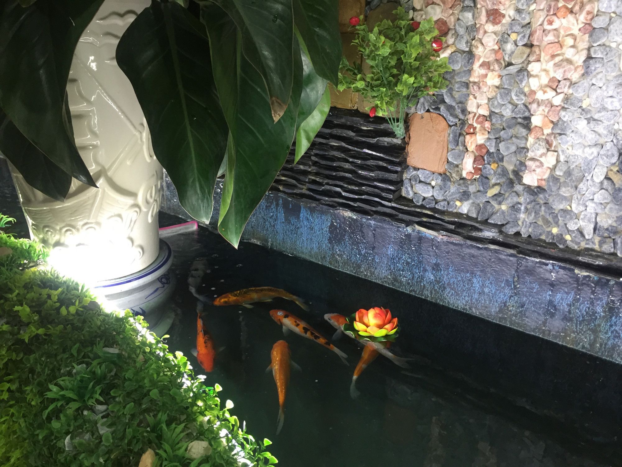 Фото Thanh Thao Hotel