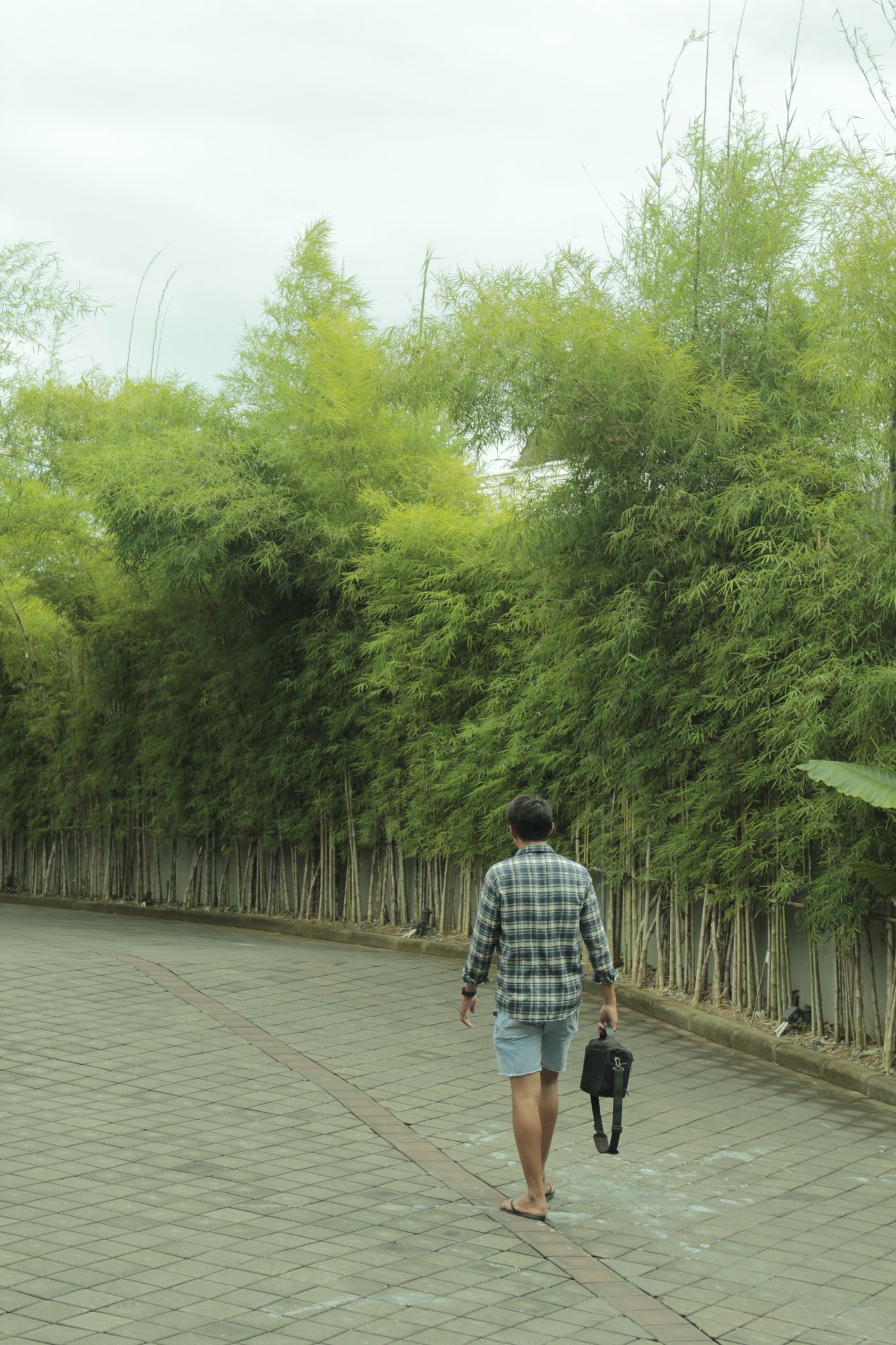 Фото The Evitel Resort Ubud