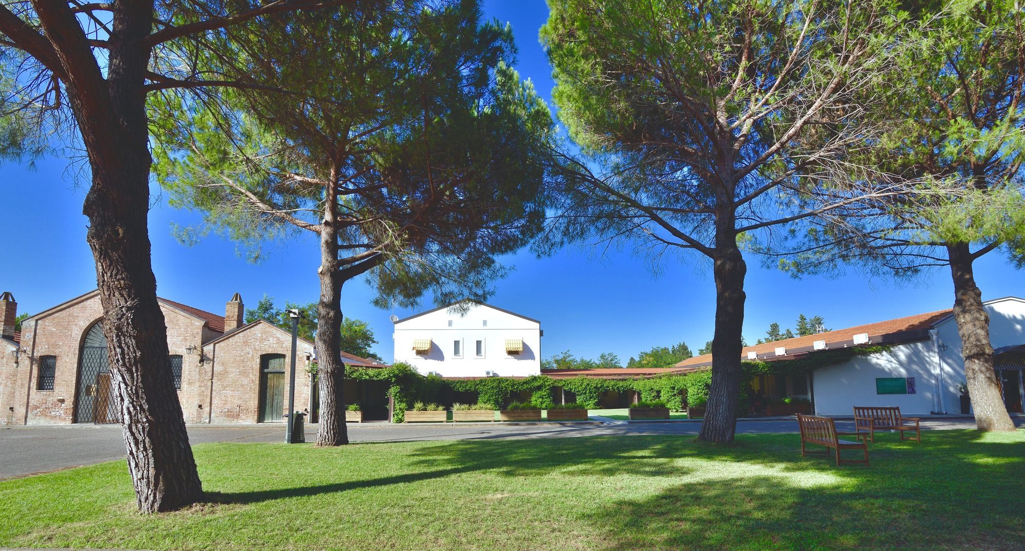 Фото Masseria Macchia & Relais San Pio