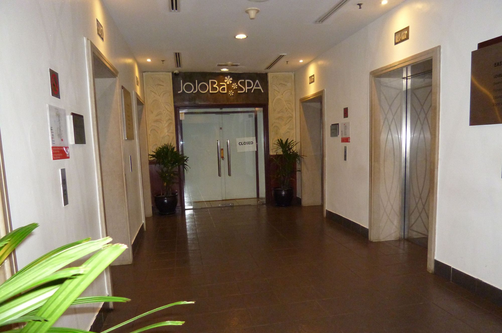 Фото Go Daily service