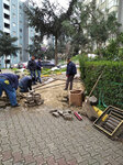 Başak Residences Kağıthane Mass Housing Management (Istanbul, Besiktas, Balmumcu Neighborhood, Zincirlikuyu Road Street, 21), property management