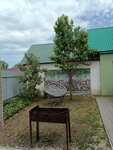 Otdyh V SHiryaevo (selo Shiryayevo, Khutorskaya ulitsa, 8), hotel
