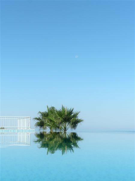 Фото Little Bird