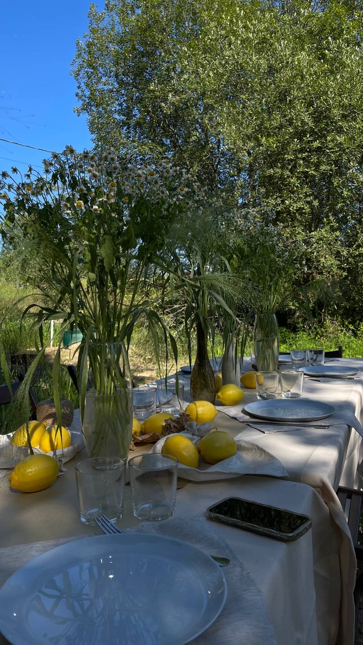 Фото Resurs House