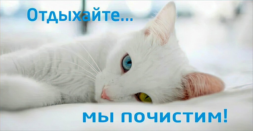 Dry cleaning 4b.ru, Moscow, photo