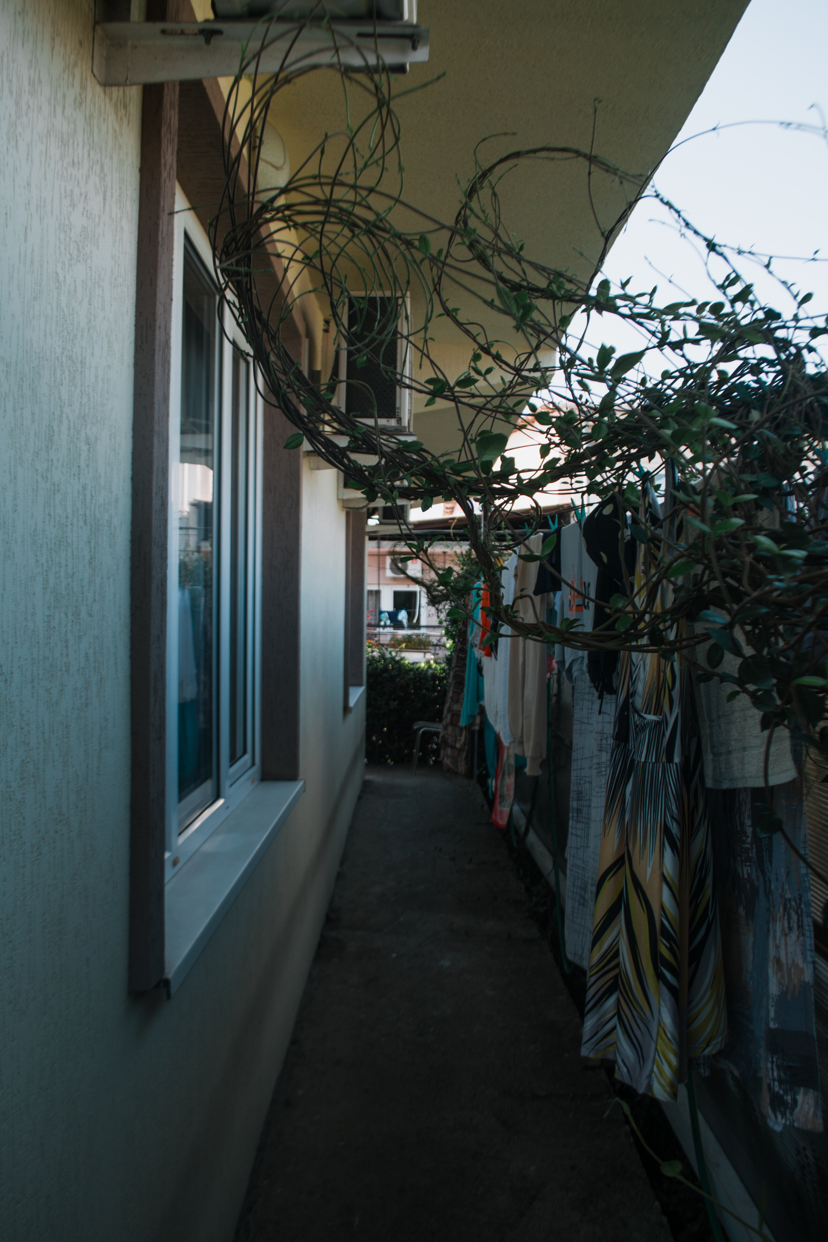 Фото Диковинка Сочи