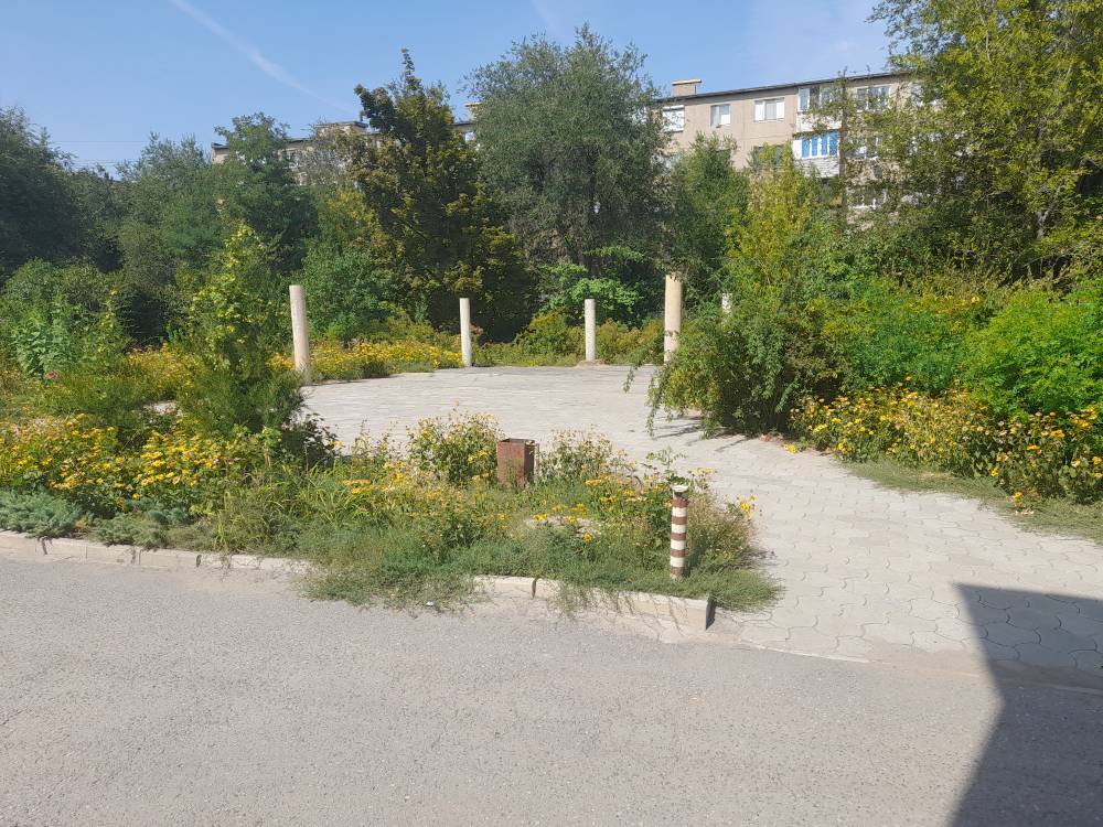 Фото Солнечная