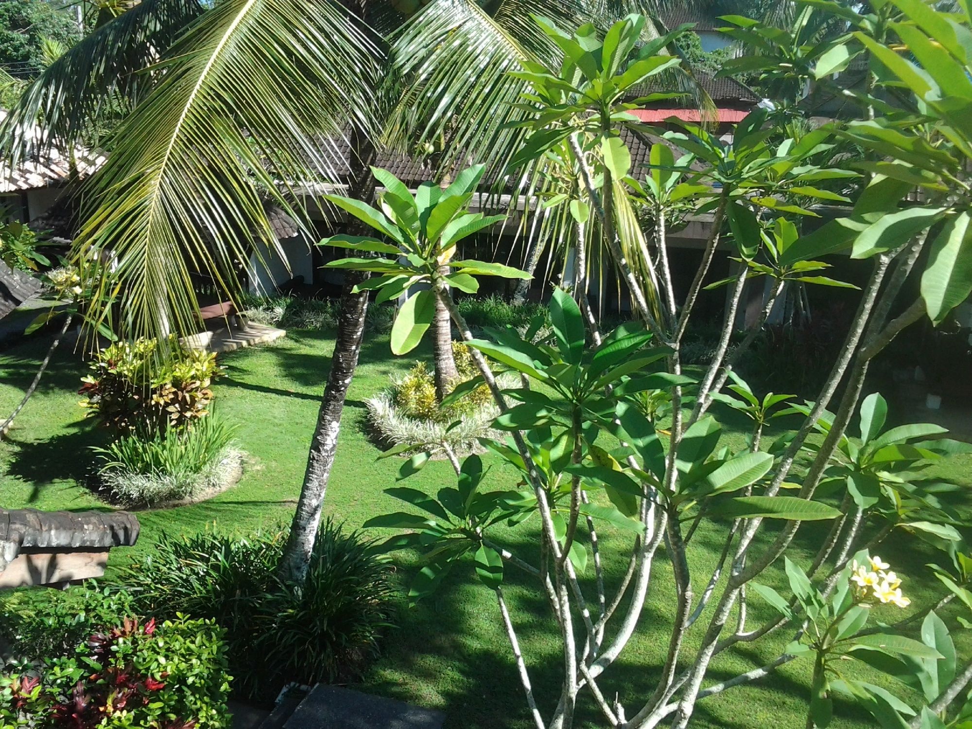 Фото Y Resort Ubud