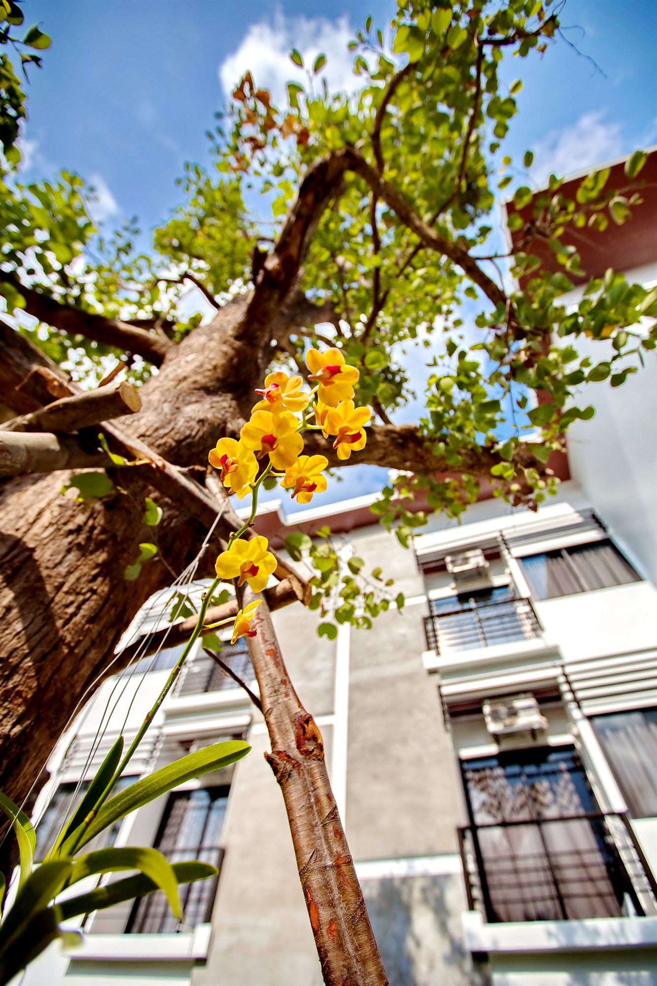 Фото Ideo Phuket Hotel