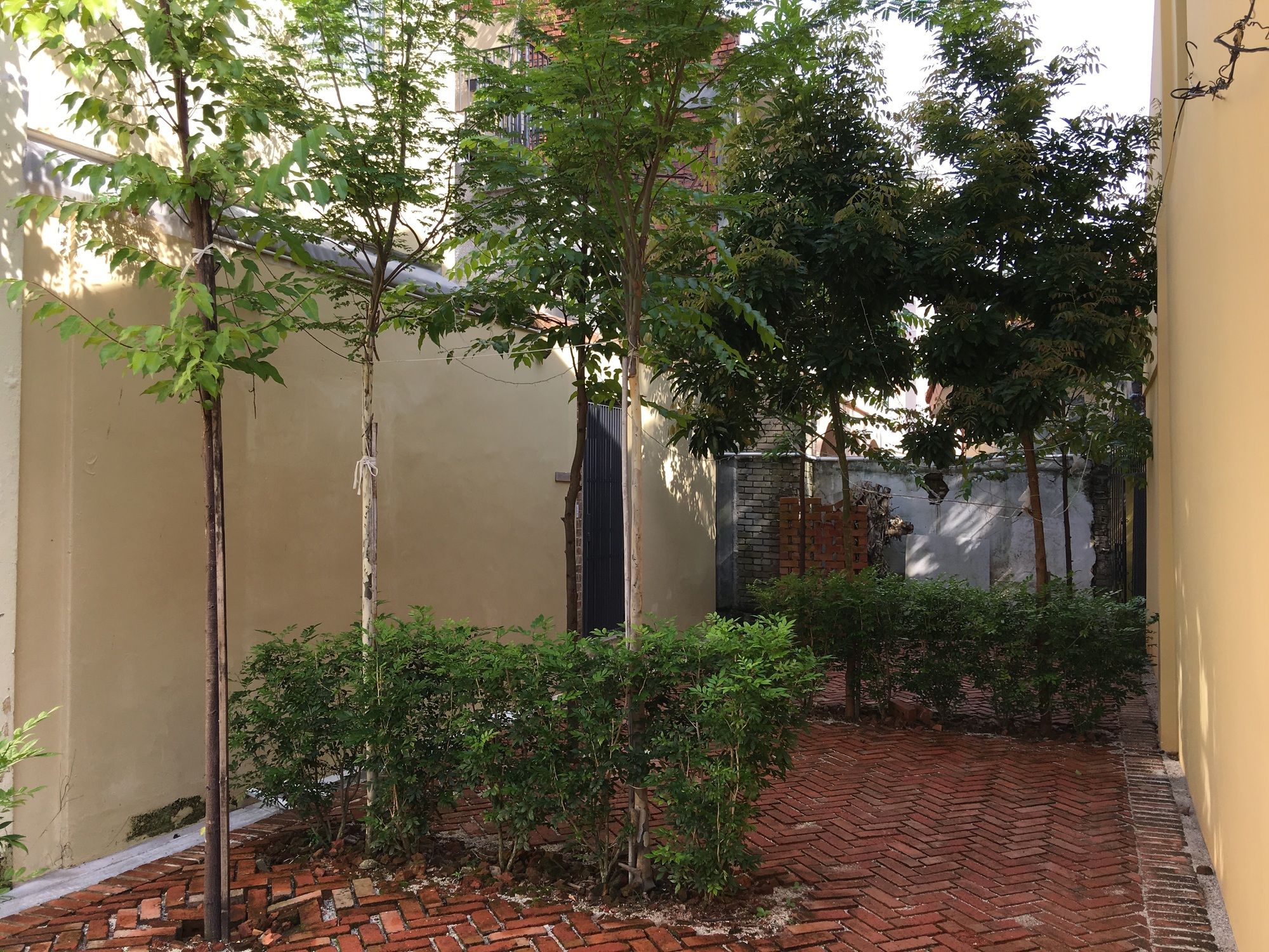 Фото Spices Hotel