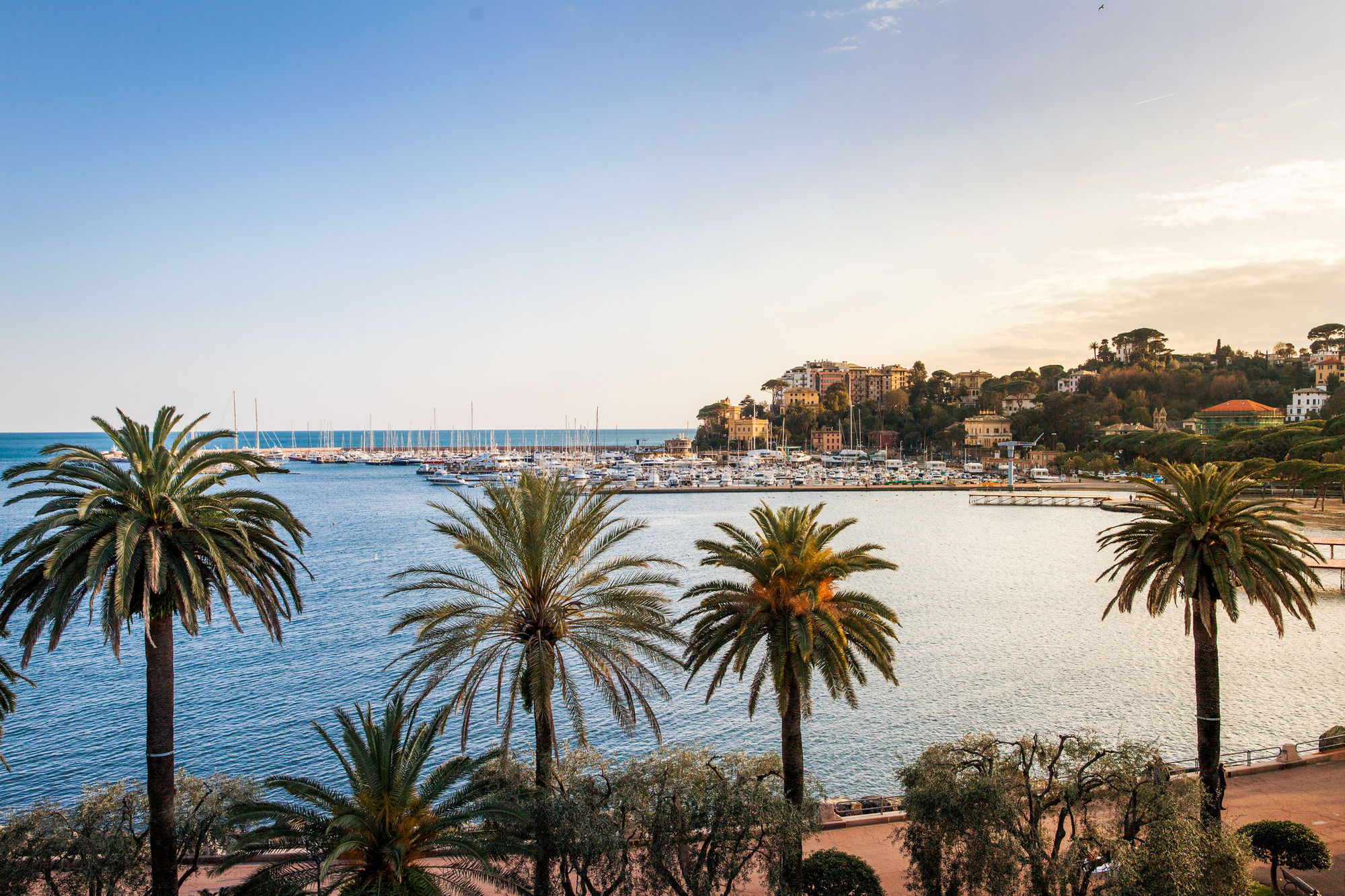 Фото Hotel Vesuvio