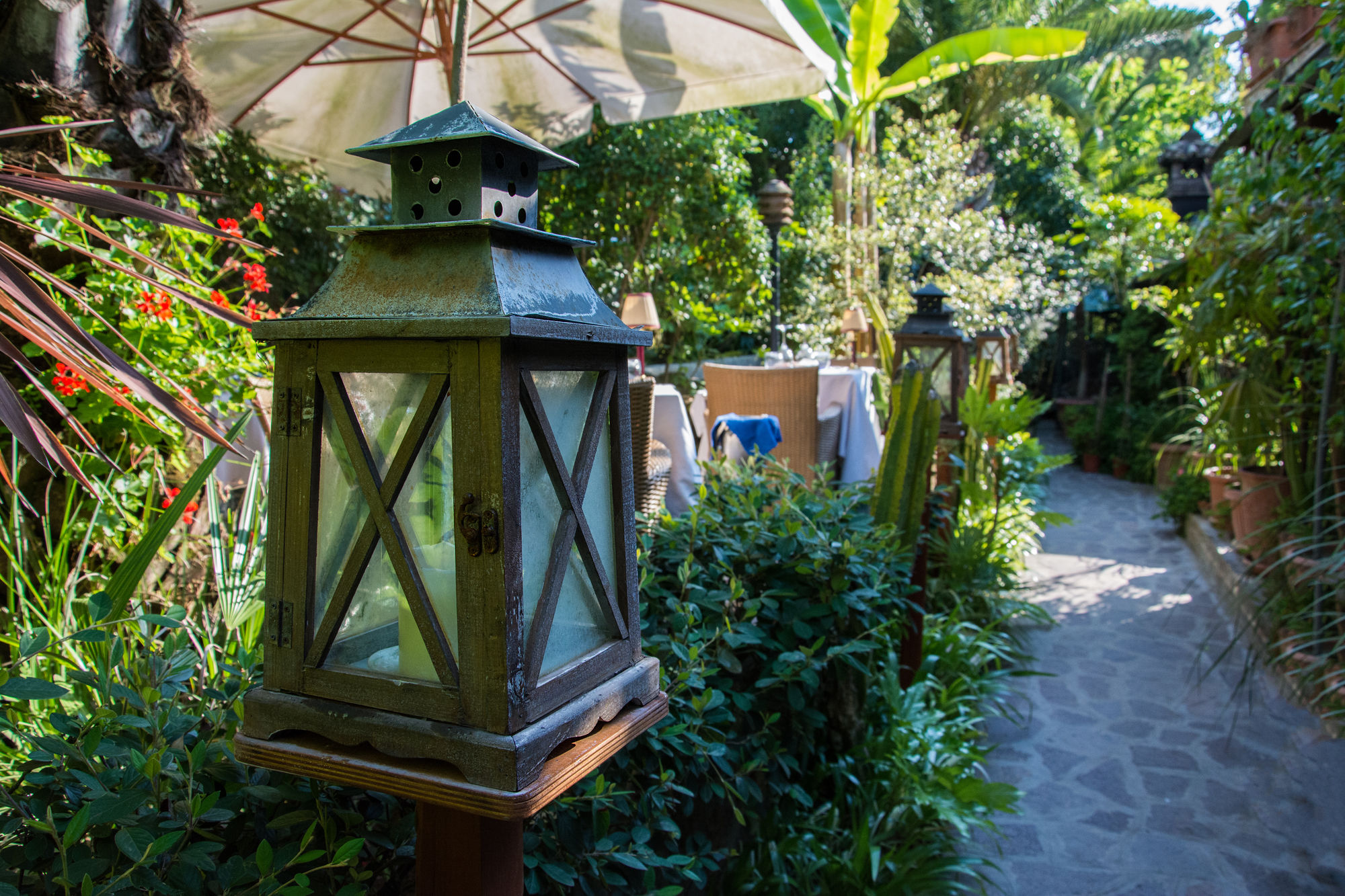 Фото Veio Residence Resort