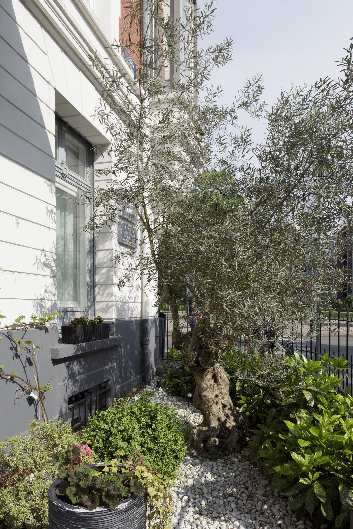 Фото Le Chat Qui Dort - Villa Gounod