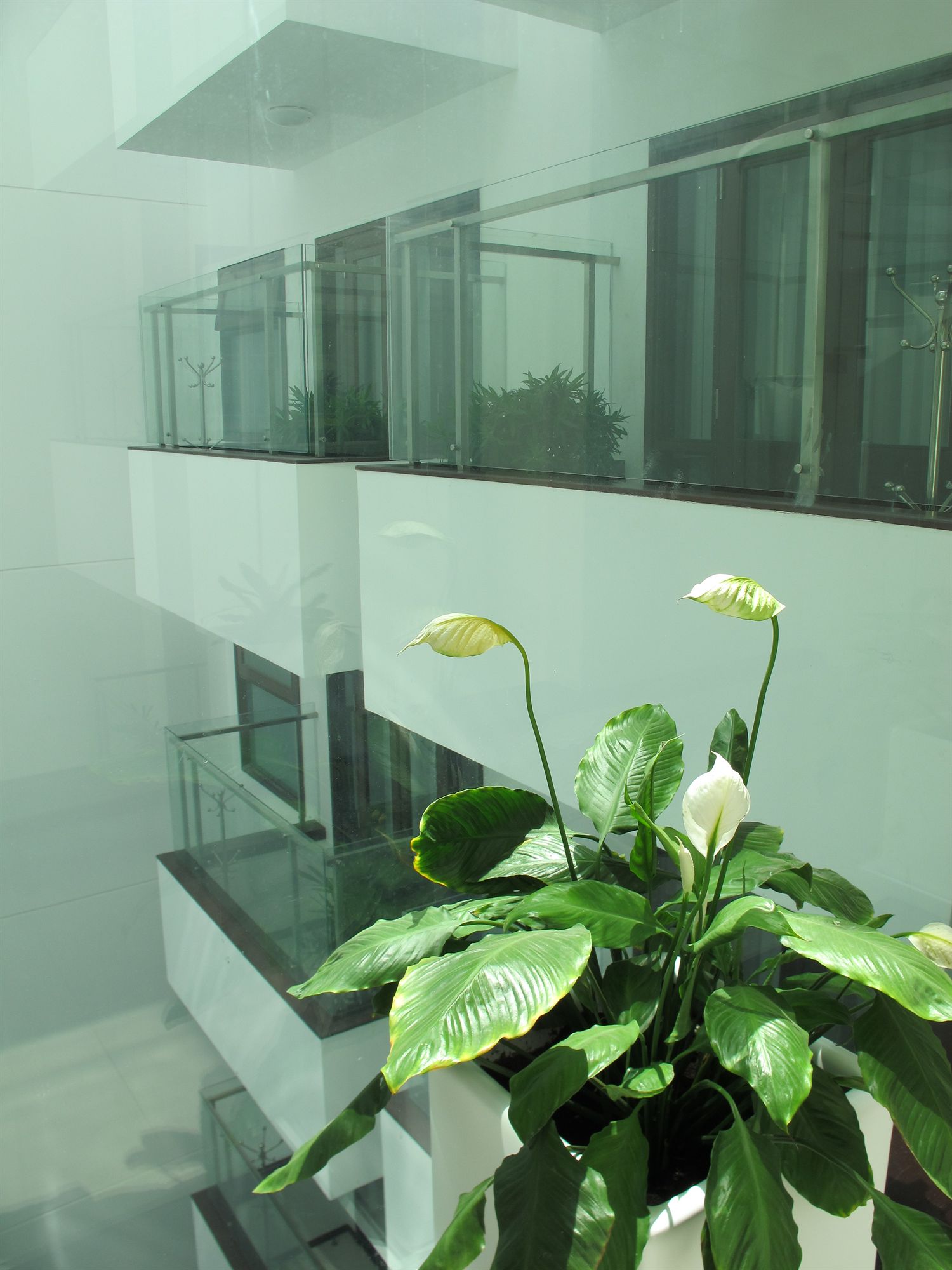 Фото Nhi Phi Hotel