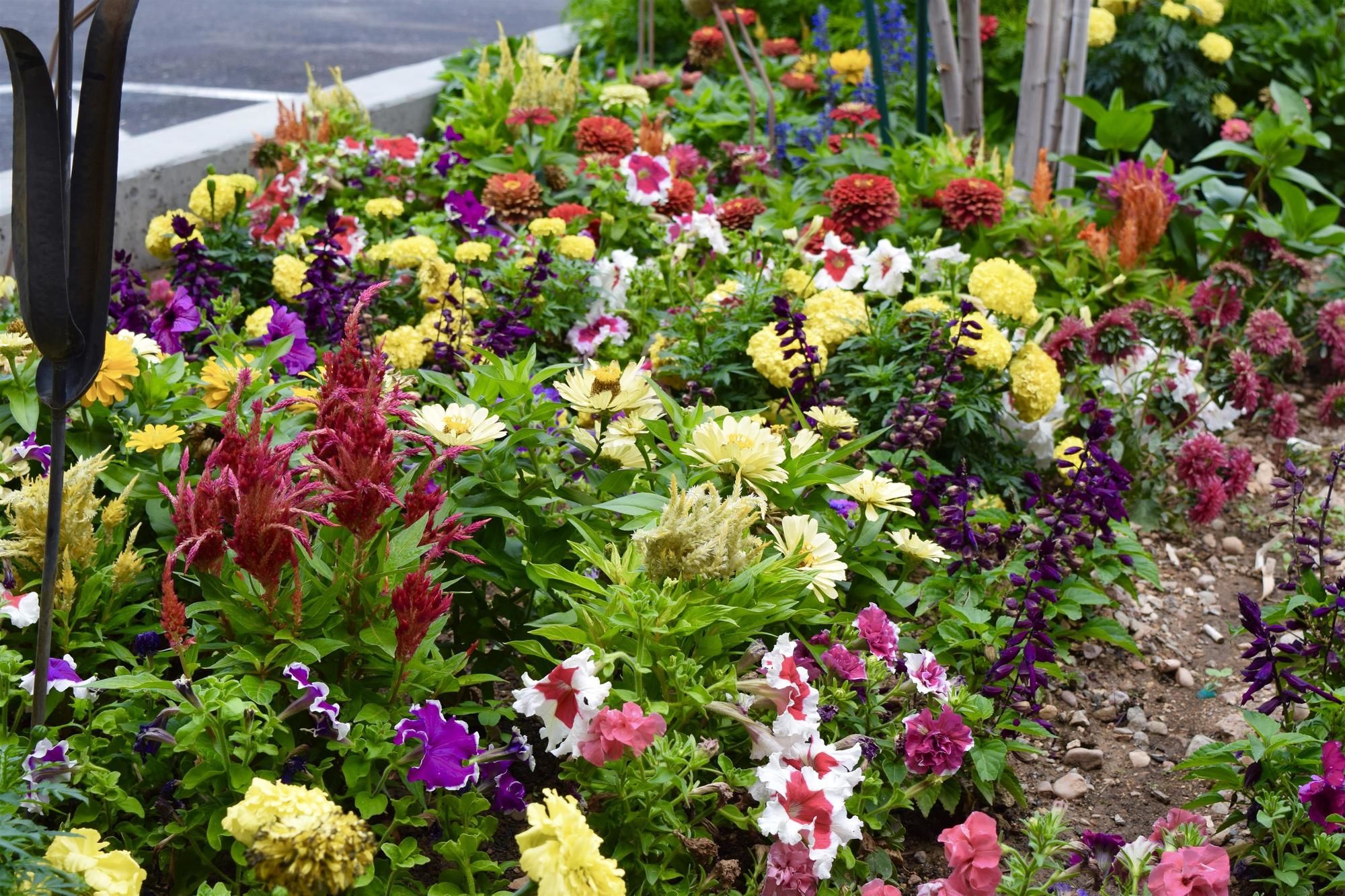 Фото Best Western Town & Country Inn