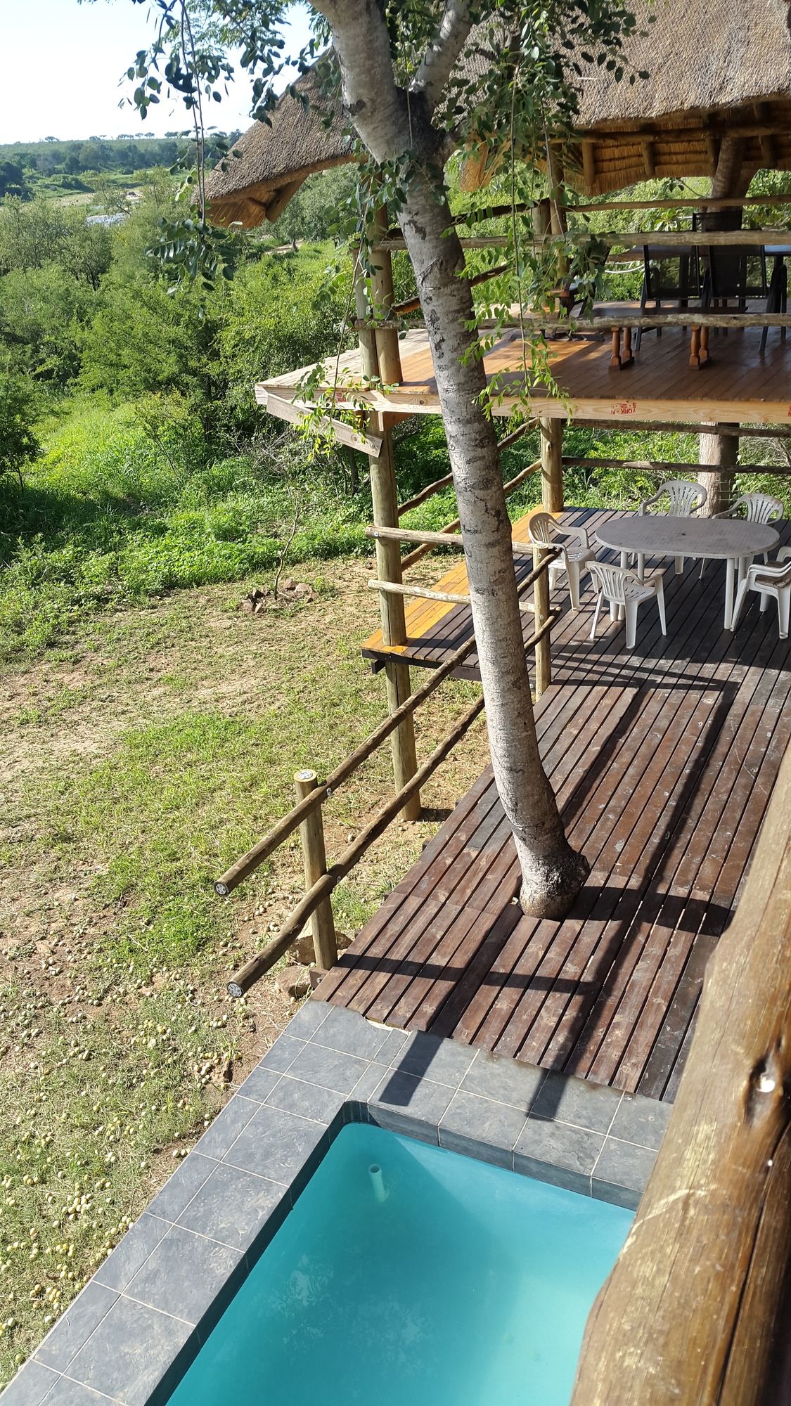 Фото Jabula Lodge