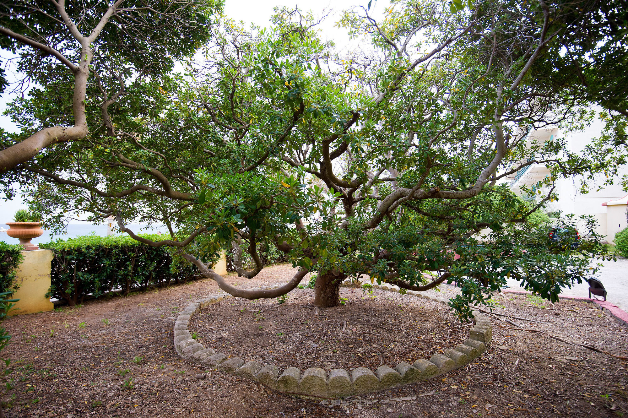 Фото Villa La Meridiana - Caroli Hotels