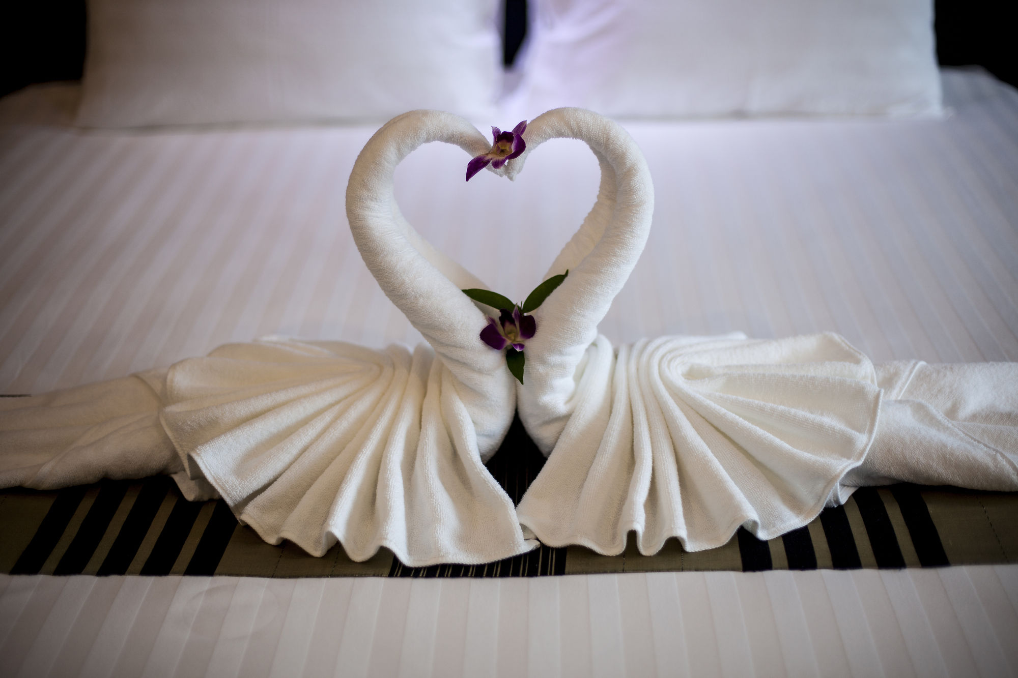 Фото Aonang Viva Resort